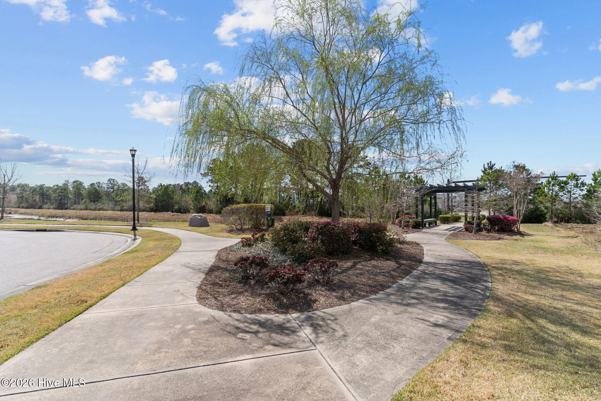 100560533 | Photo 38