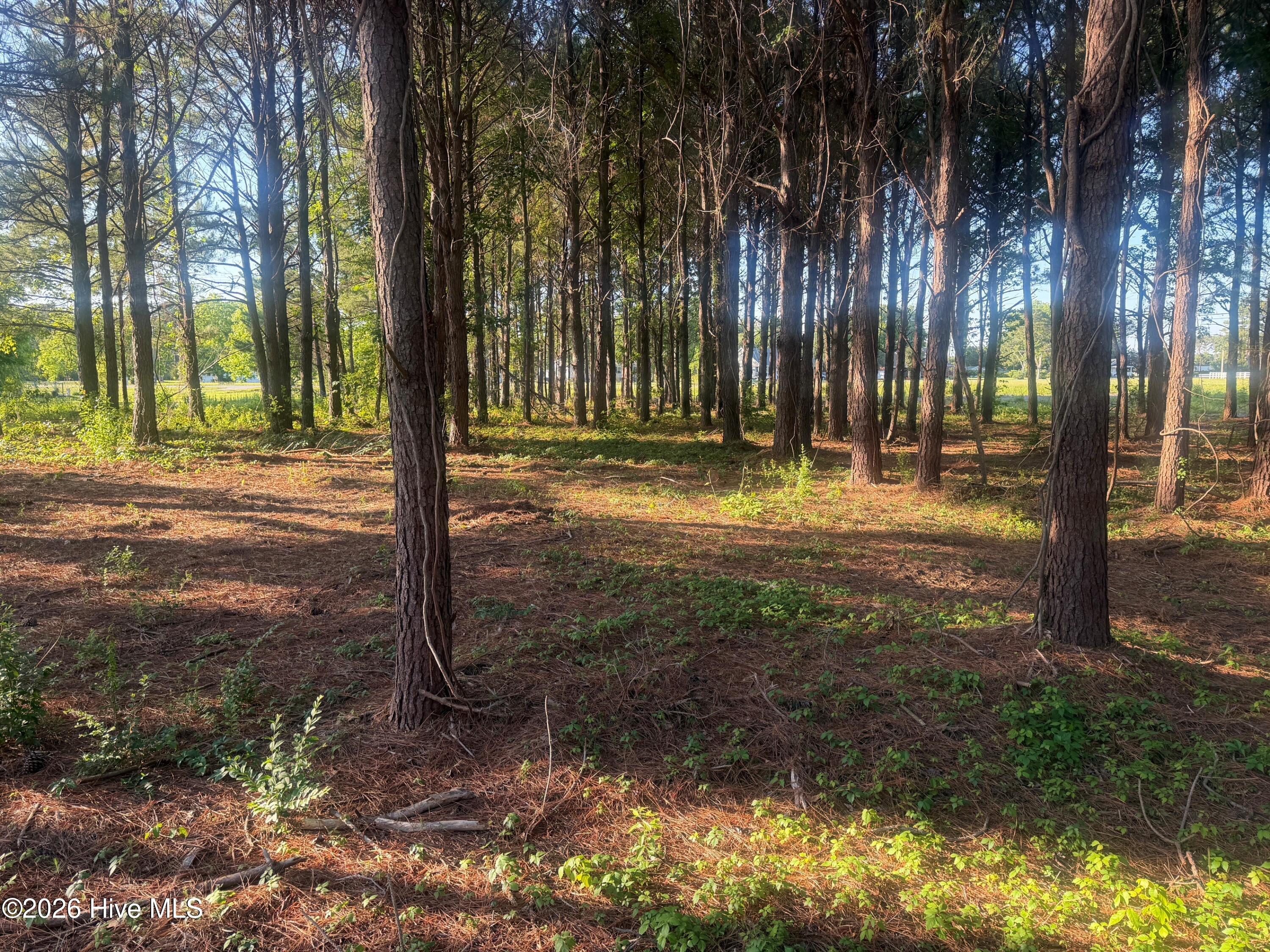 110 1 Turnstone Way,Beaufort