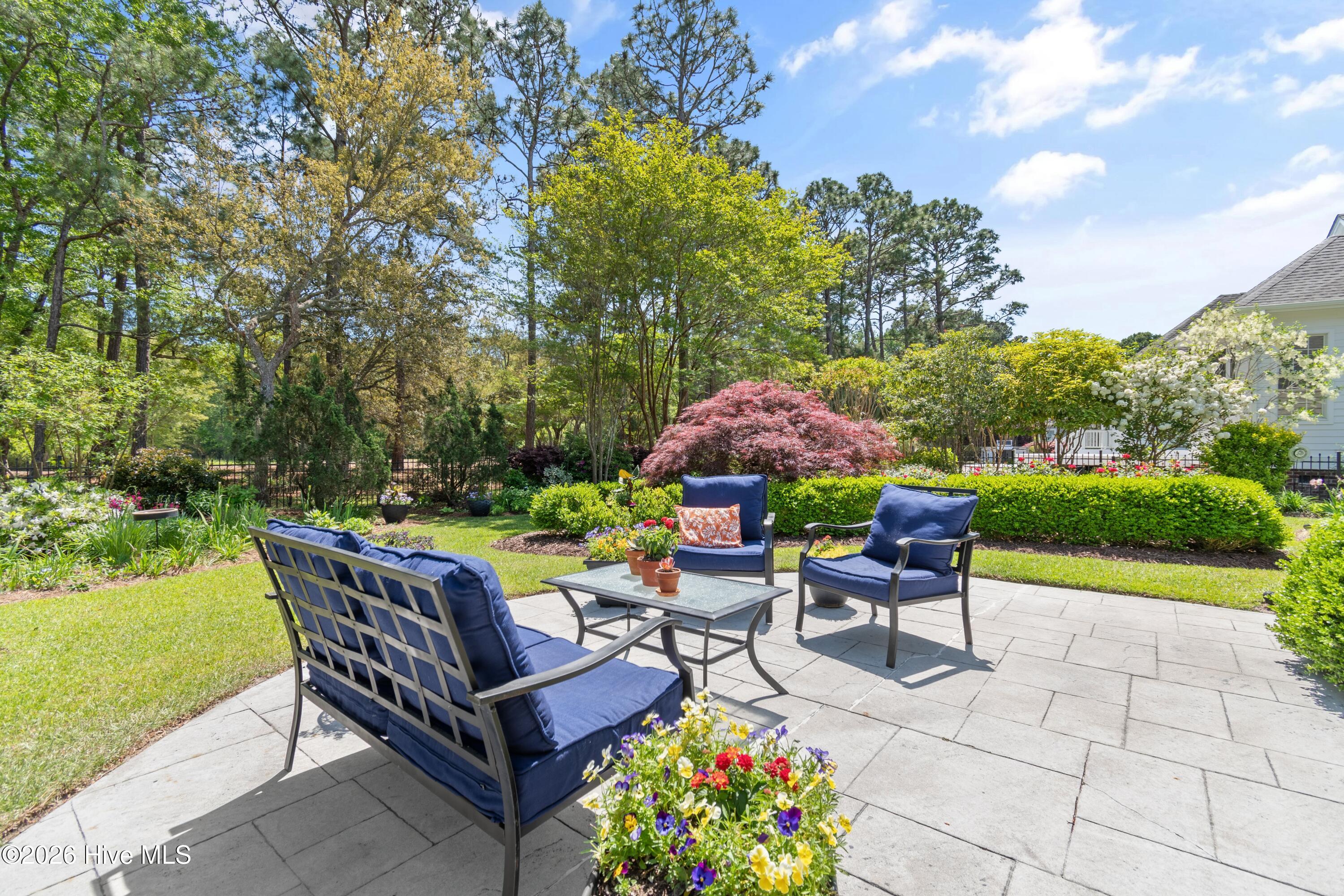 100567309 | Photo 43