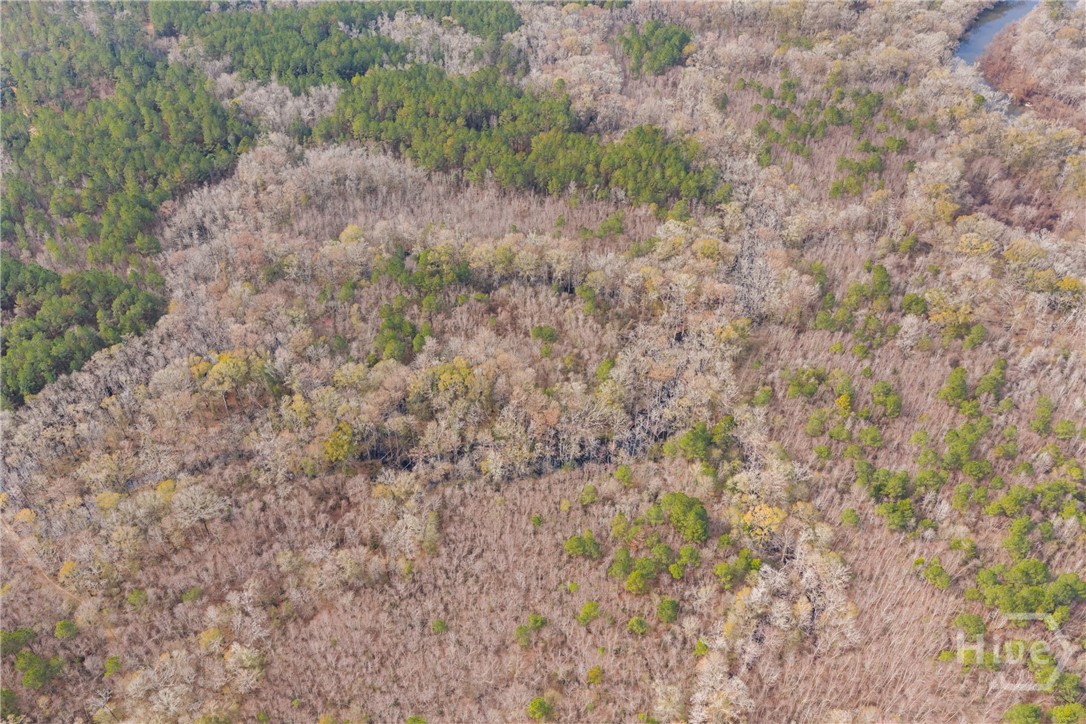 1000 Old River Road S, Brooklet, GA, 30415