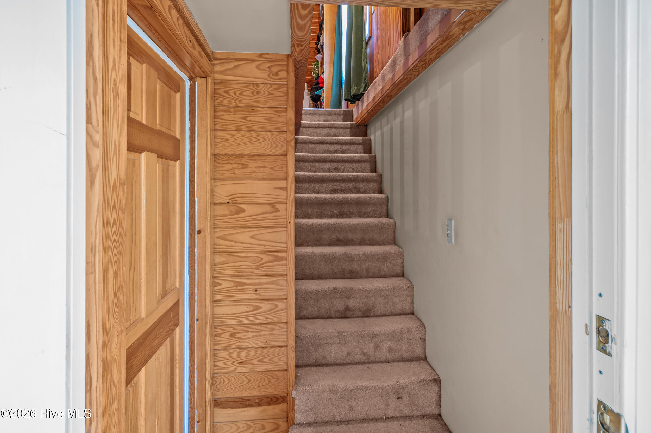 100554057 | Photo 30