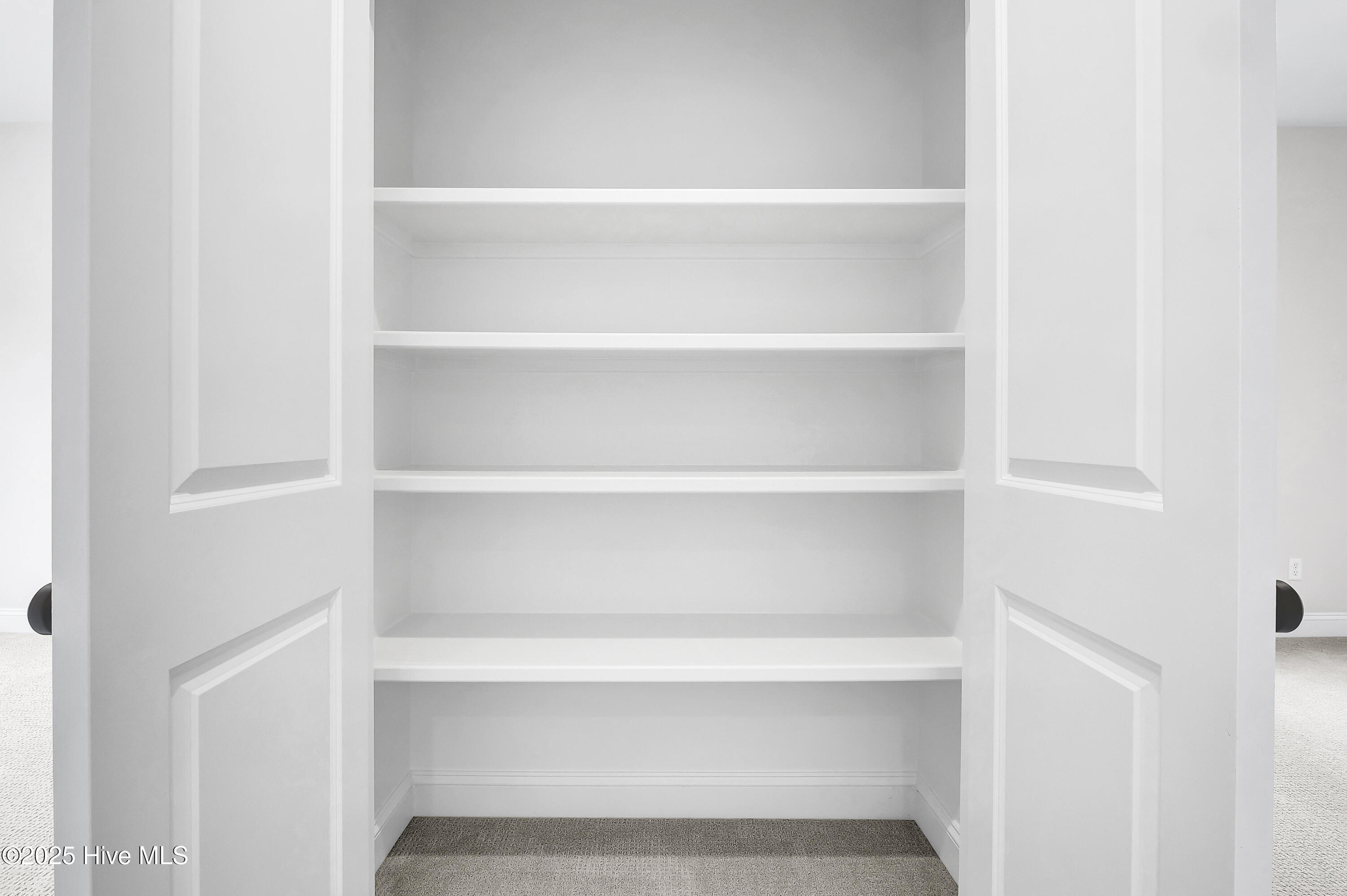 100515228 | Photo 25