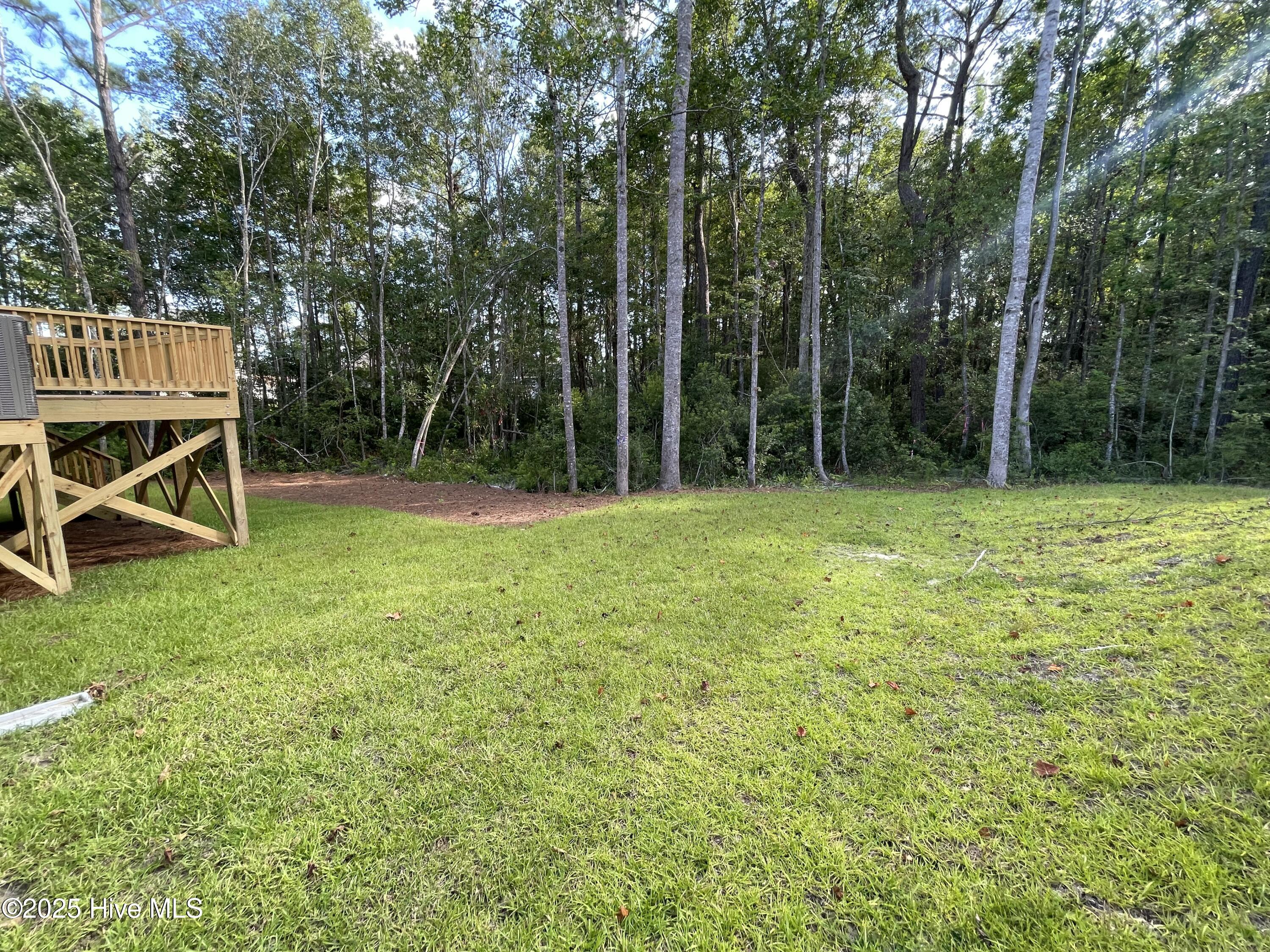 100422269 | Photo 13