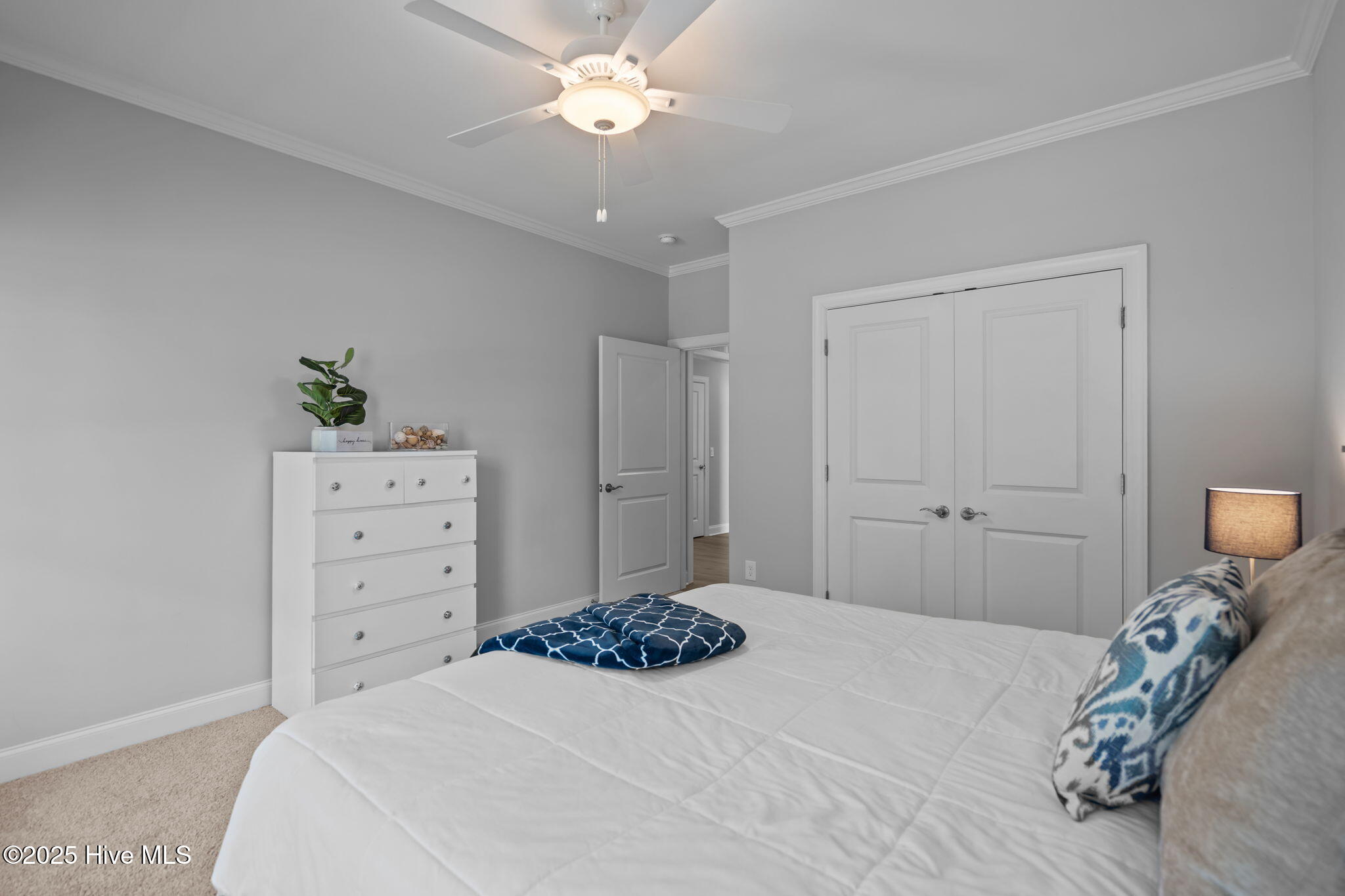 100532627 | Photo 32