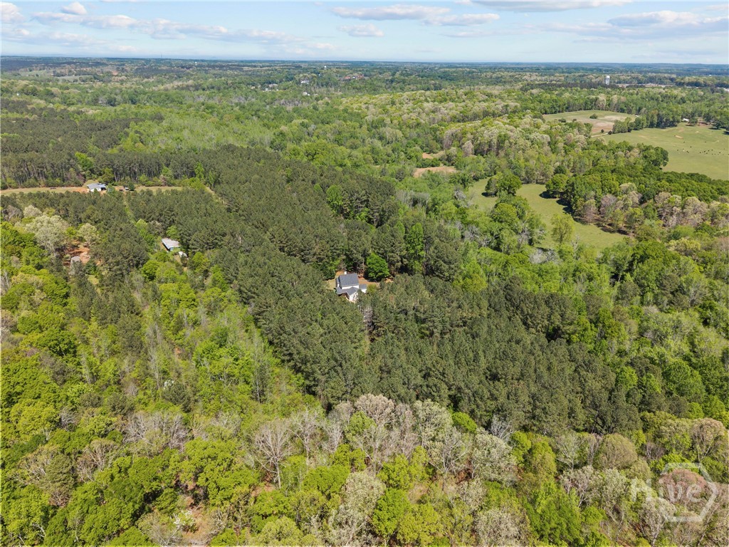 599 Double Branch Road, Danielsville, GA, 30633