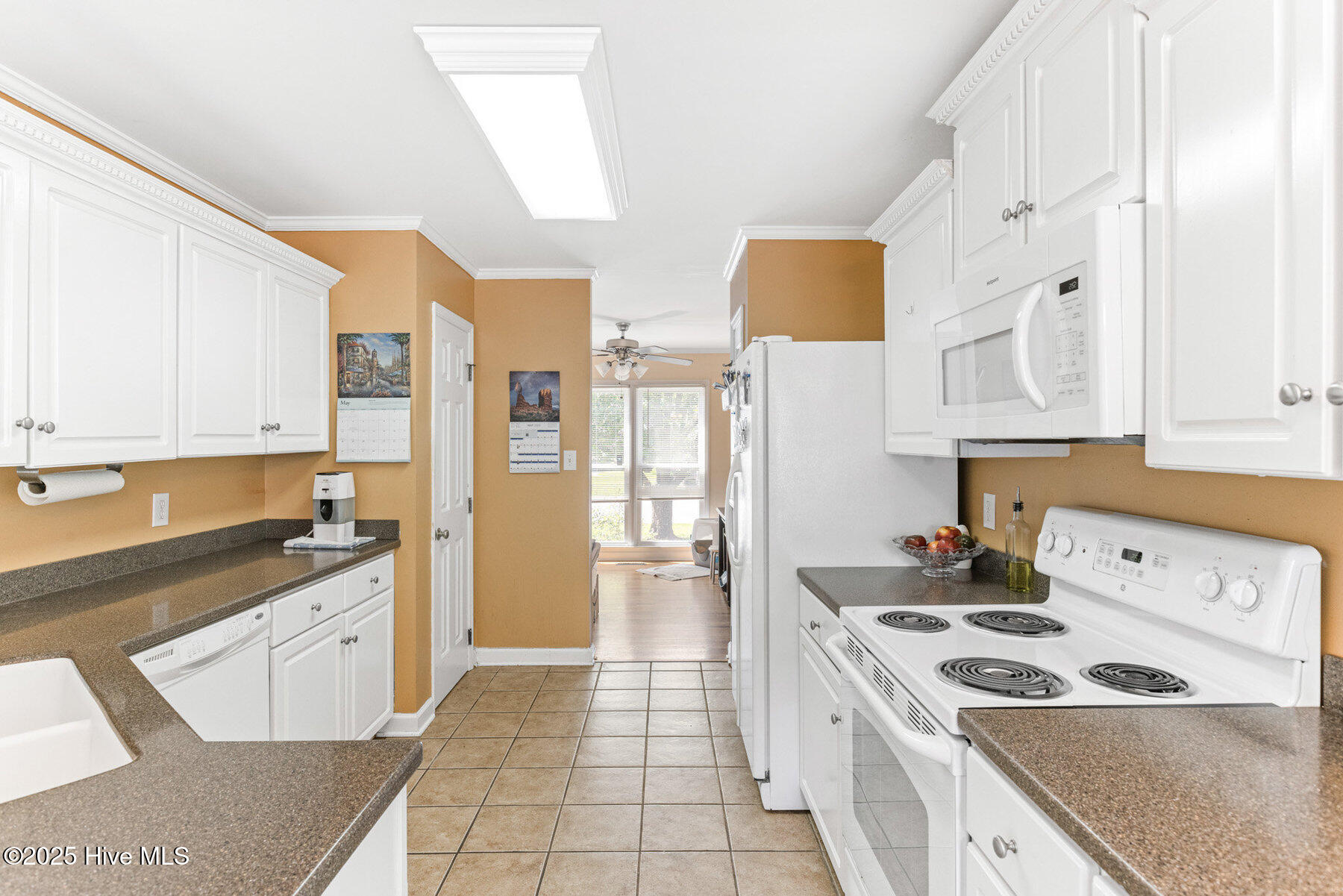 100505996 | Photo 19