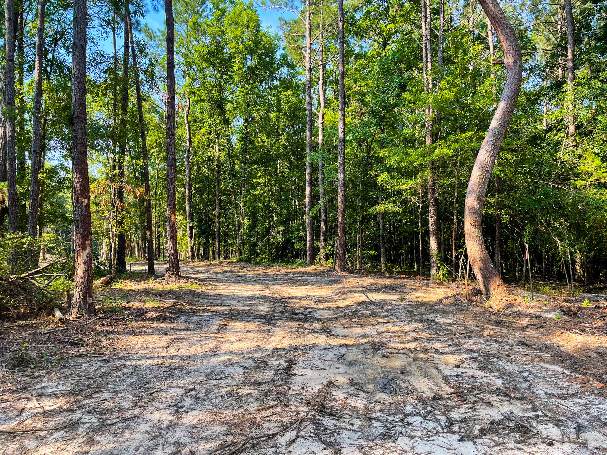 0 Backway Road, Lincolnton, GA, 30817