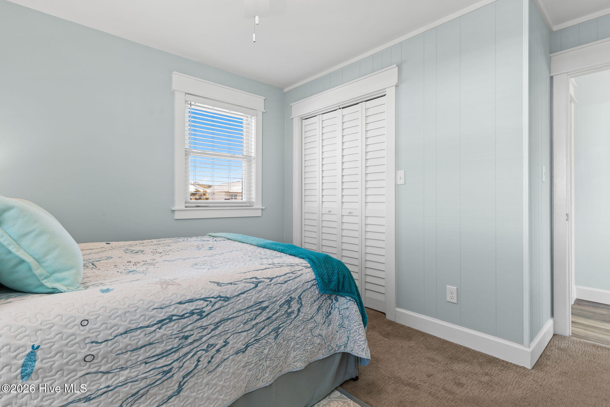 100556597 | Photo 20