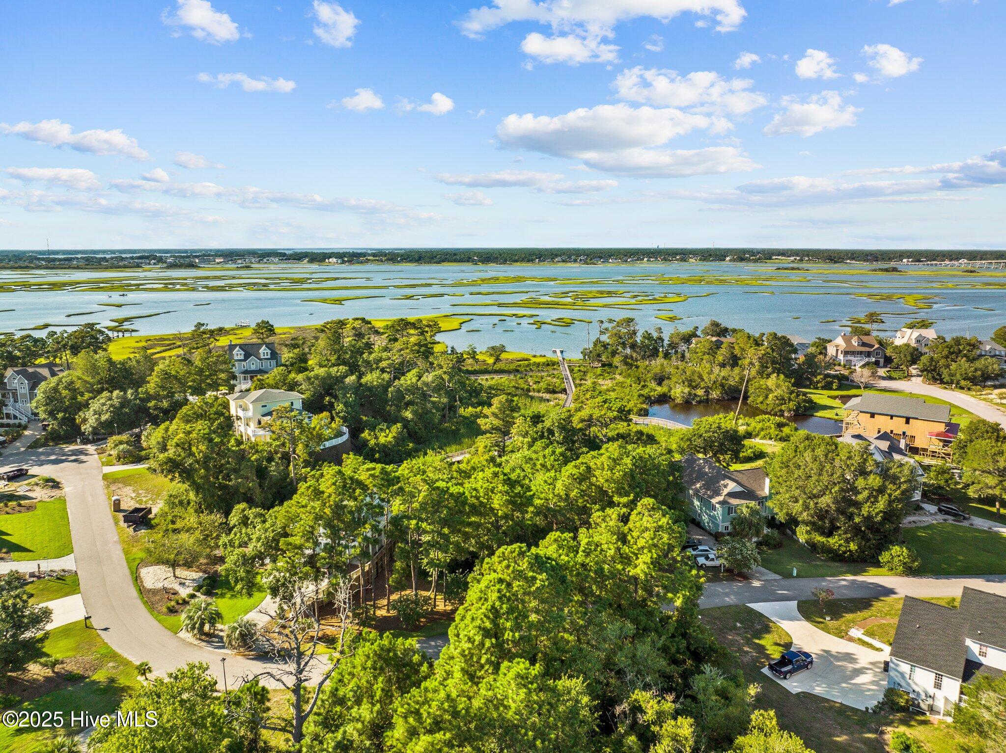 100558130 | Photo 59