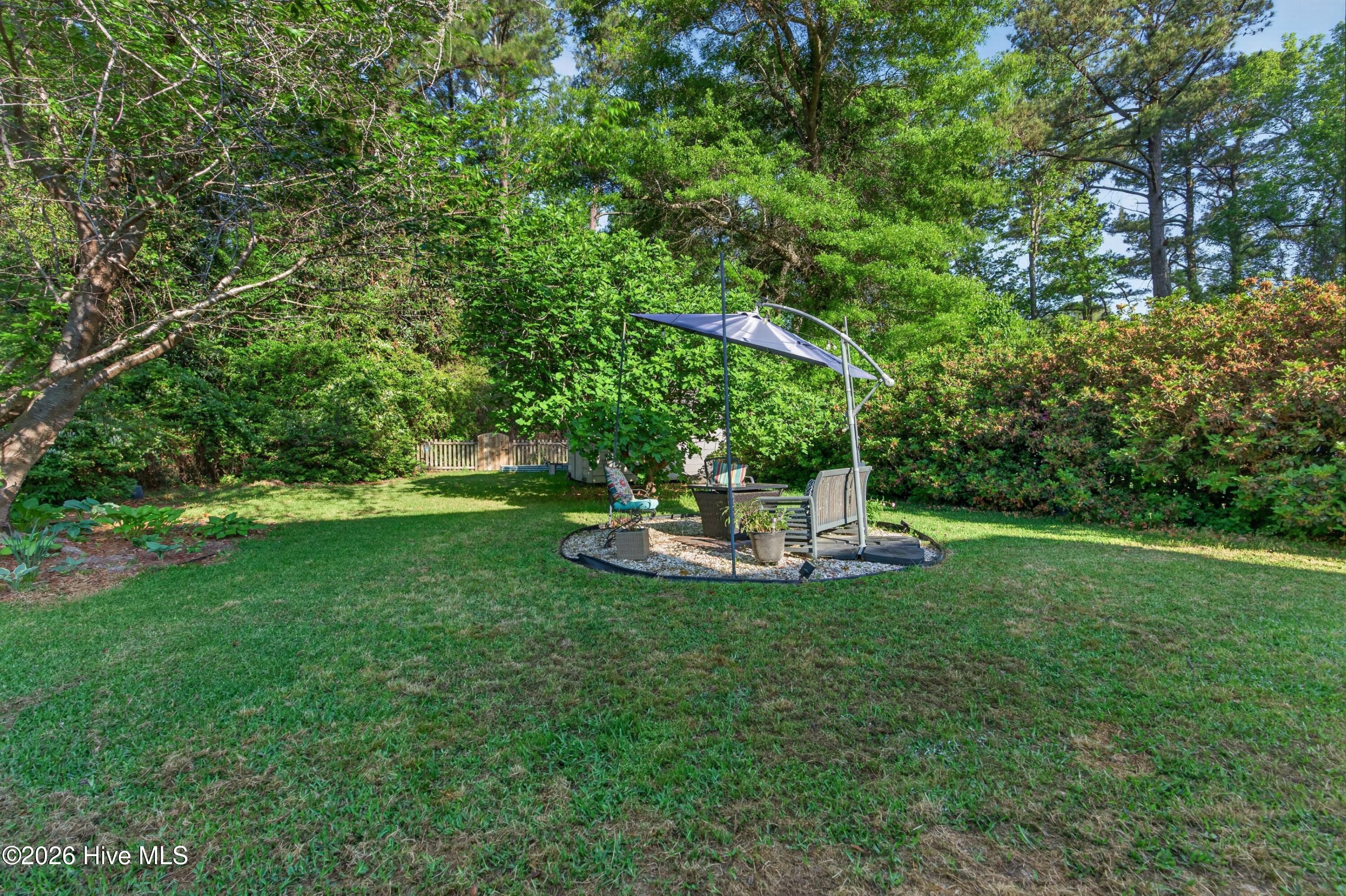 100569160 | Photo 36