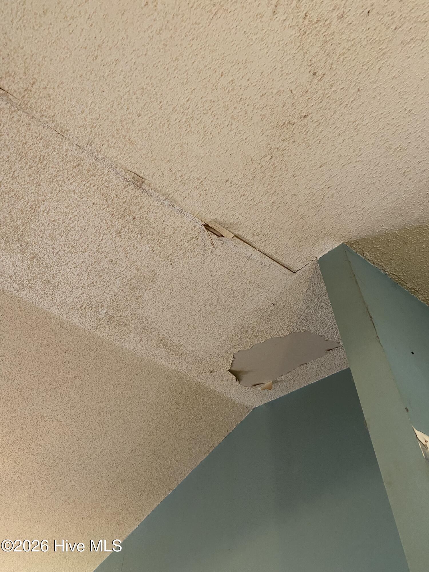 100561609 | Photo 10