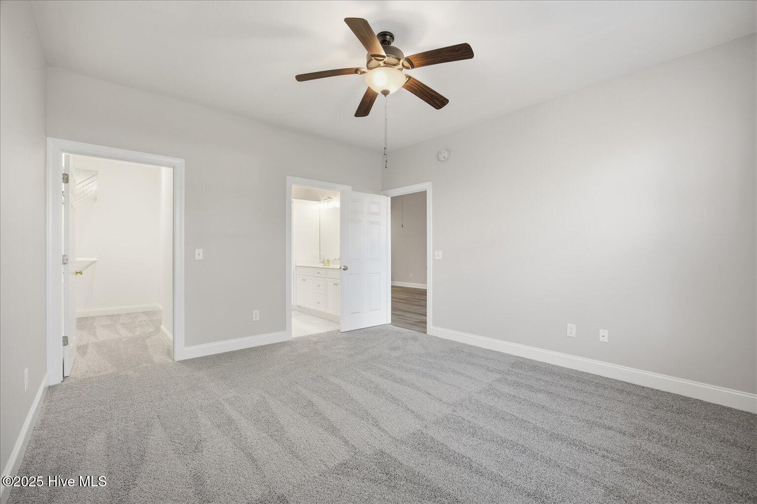 100543356 | Photo 25