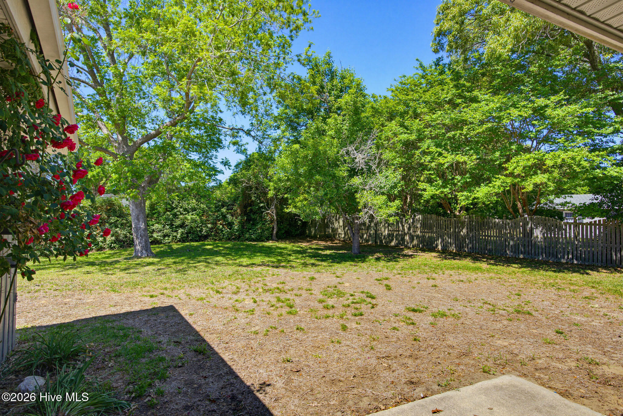 100568983 | Photo 68