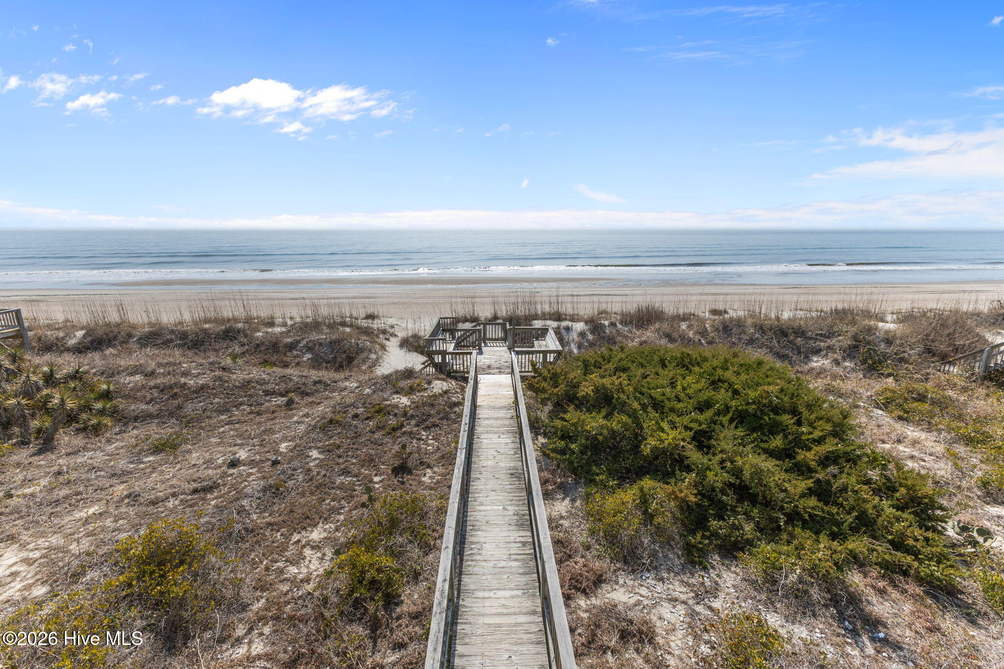 100563805 | Photo 25