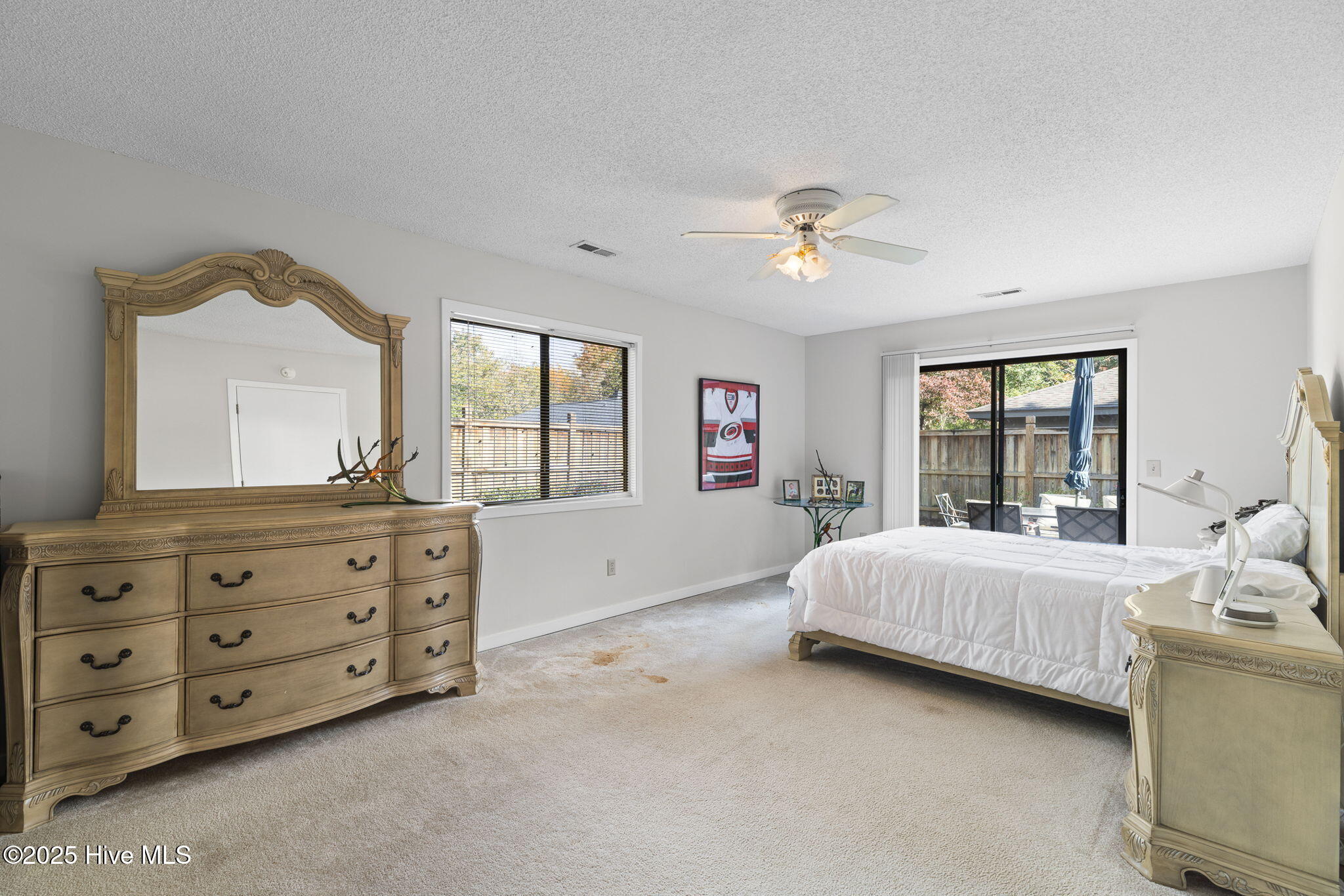 100539672 | Photo 23