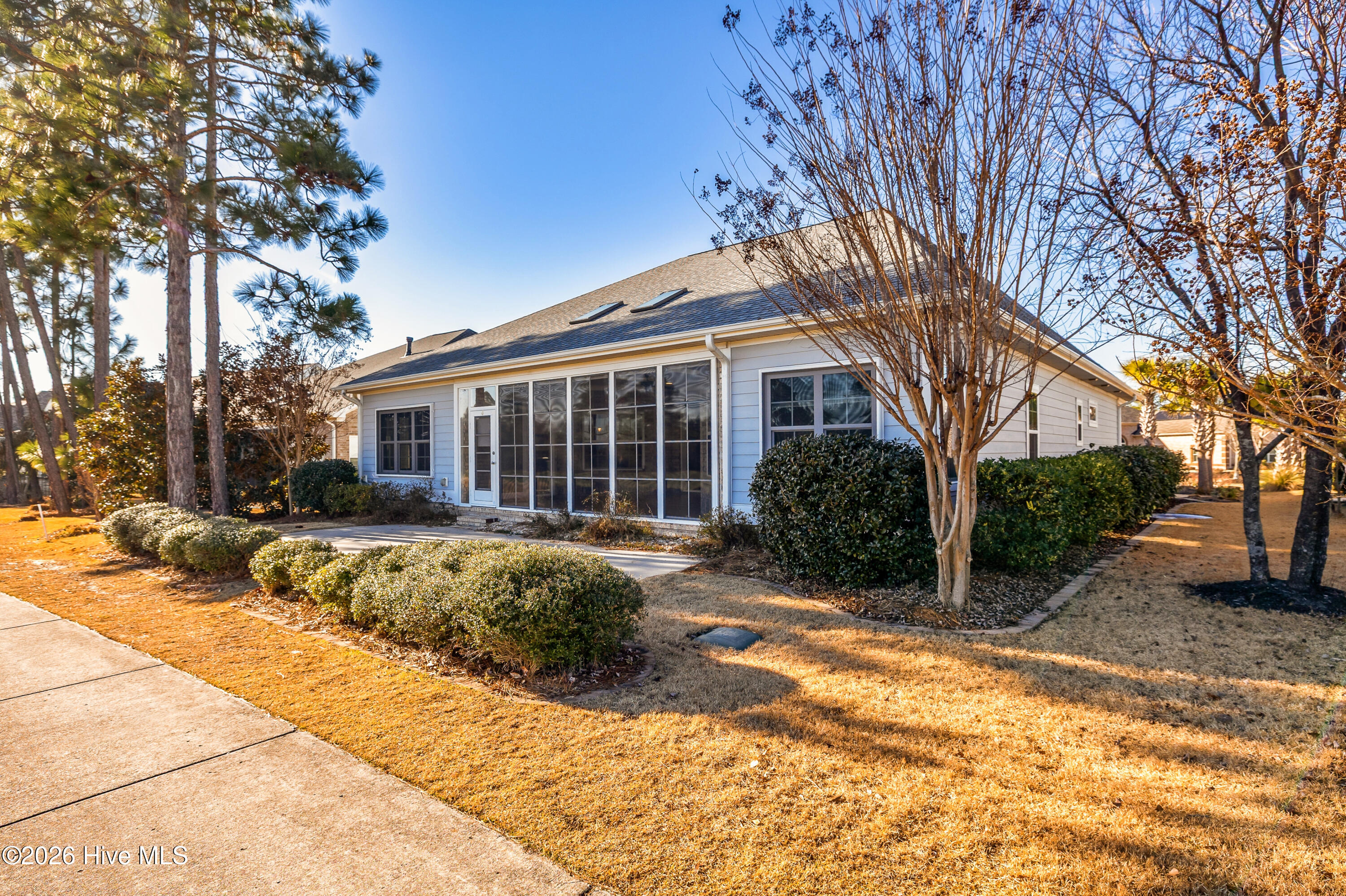 100550205 | Photo 23