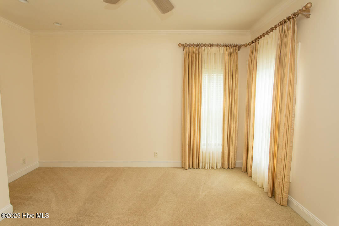 100526043 | Photo 36