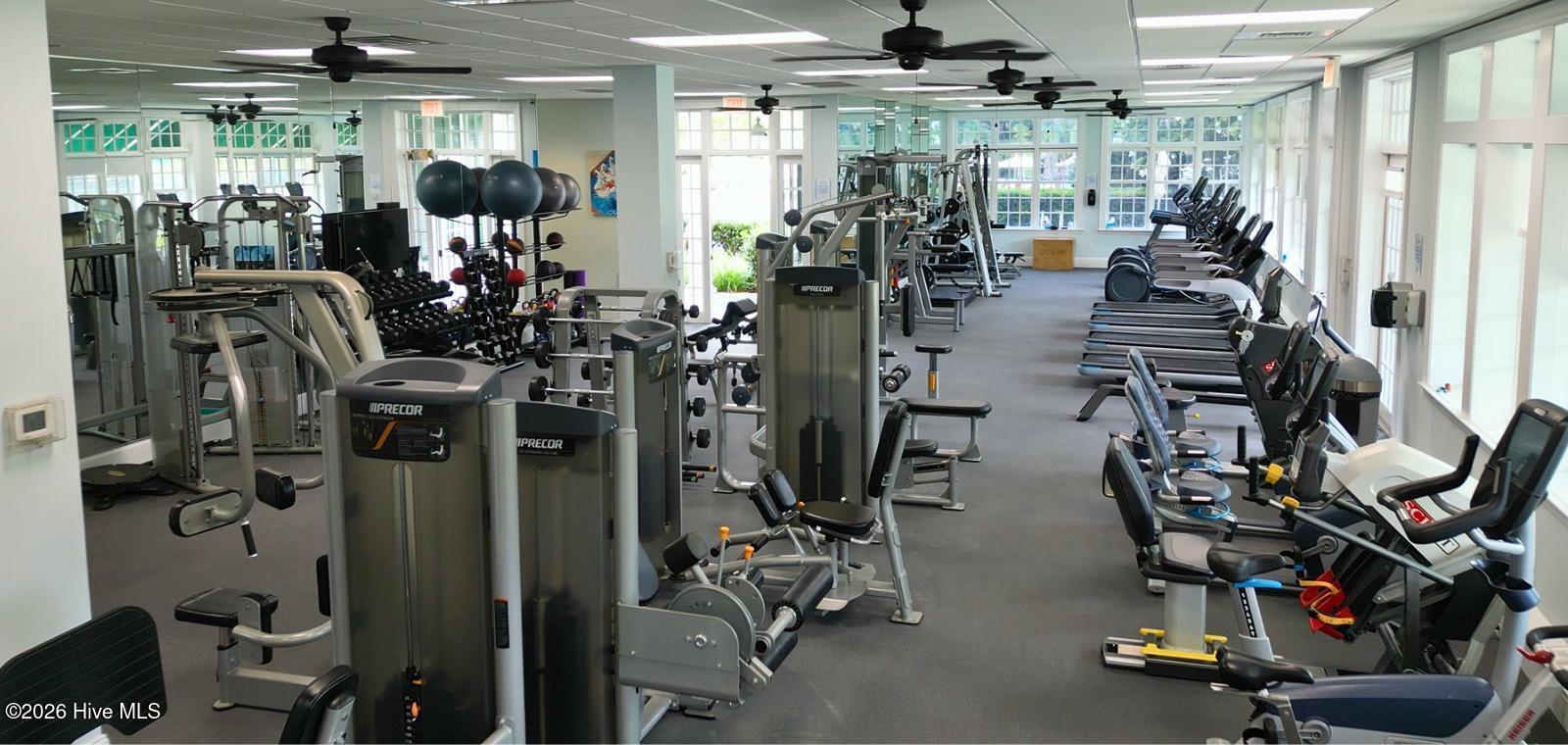 100564317 | Photo 68