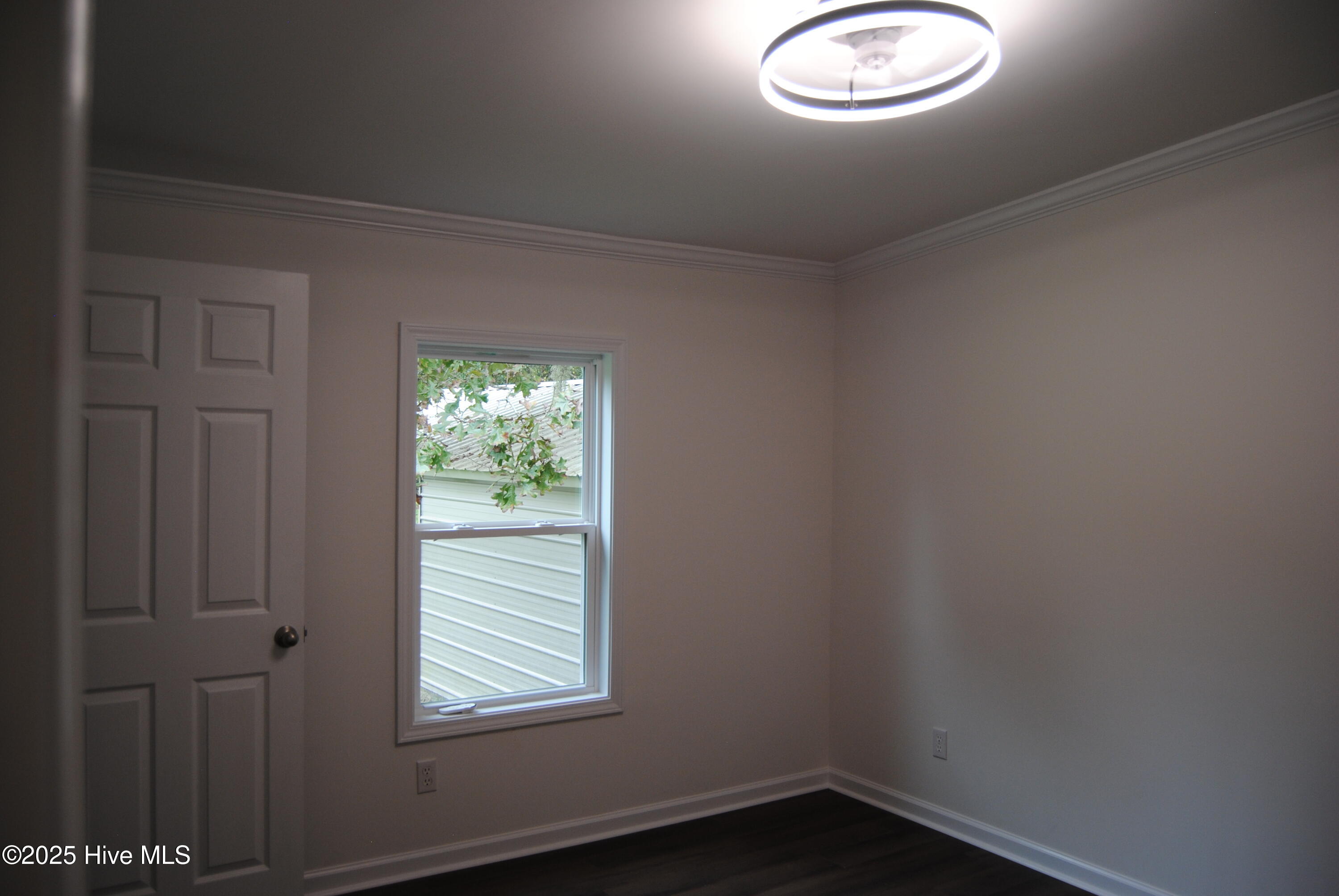 100533223 | Photo 44