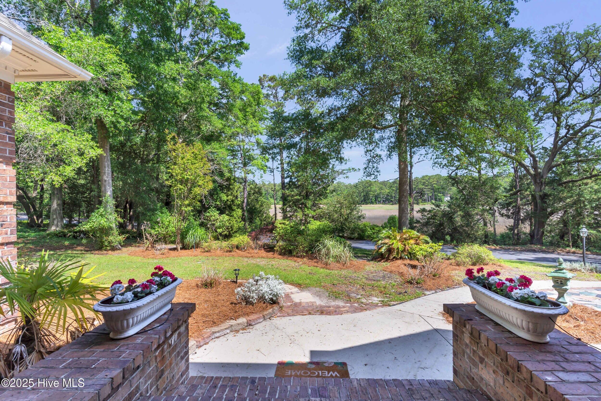 100570378 | Photo 62