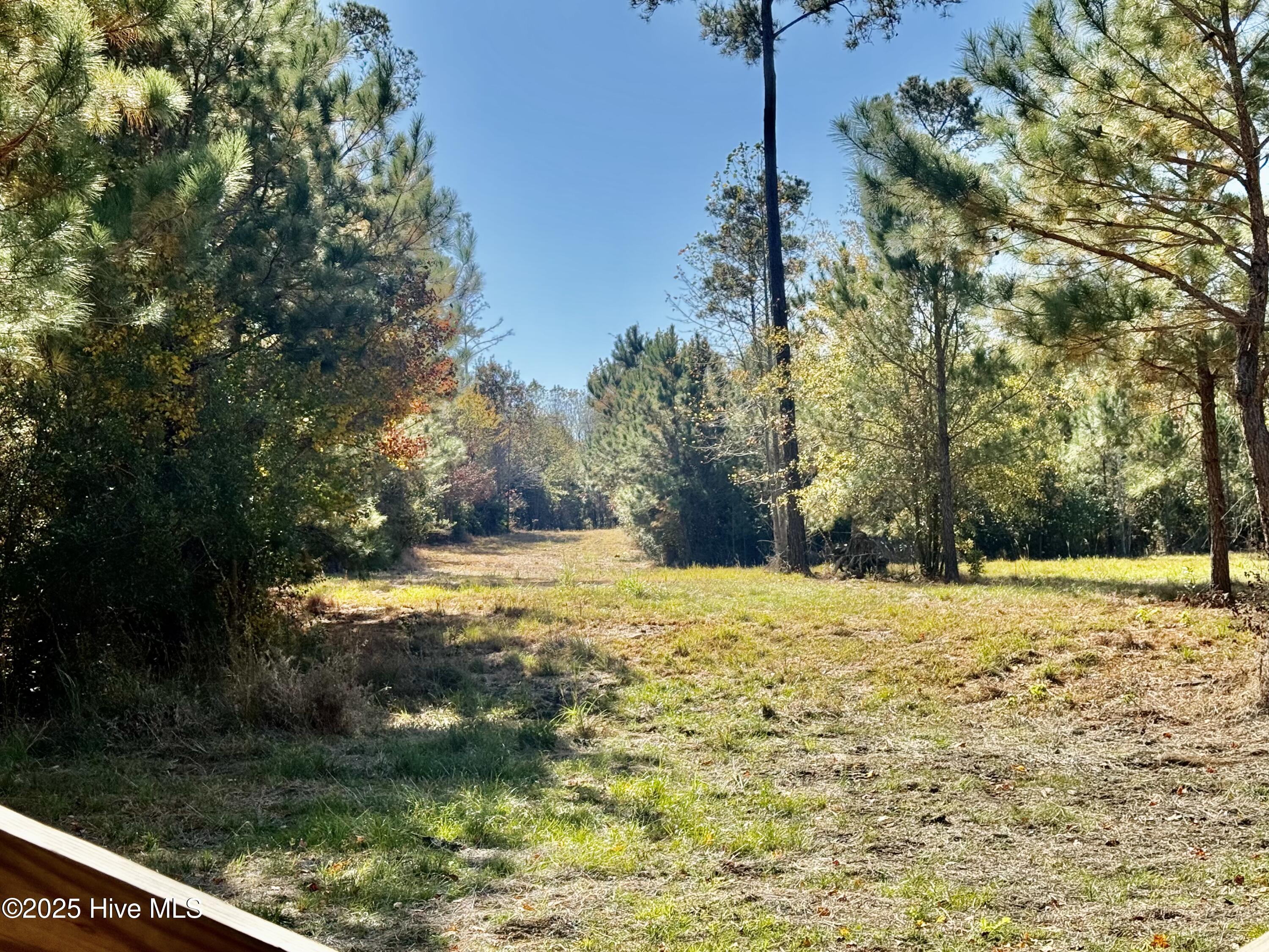 100541845 | Photo 10