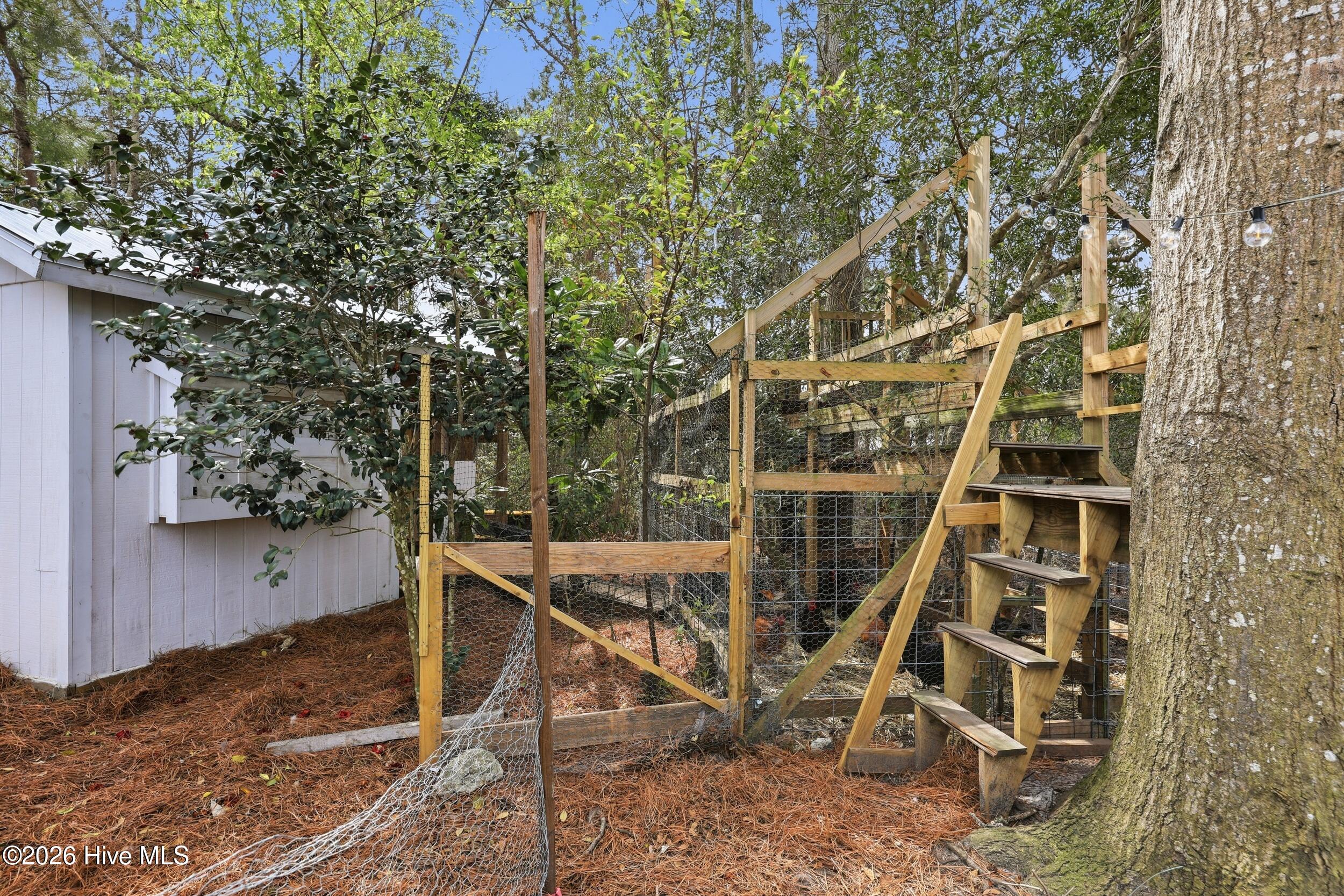 100562935 | Photo 53