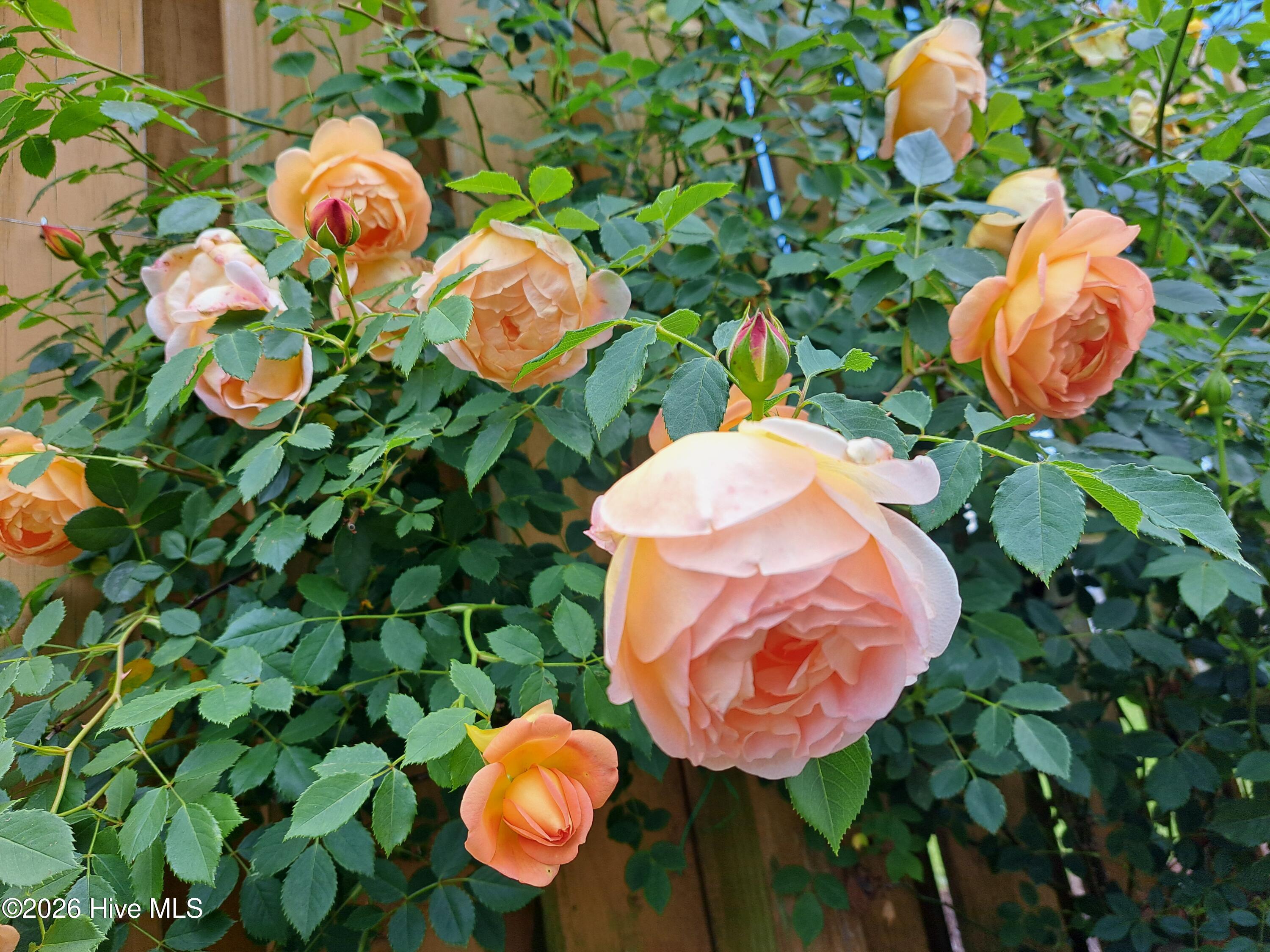 100551829 | Photo 59