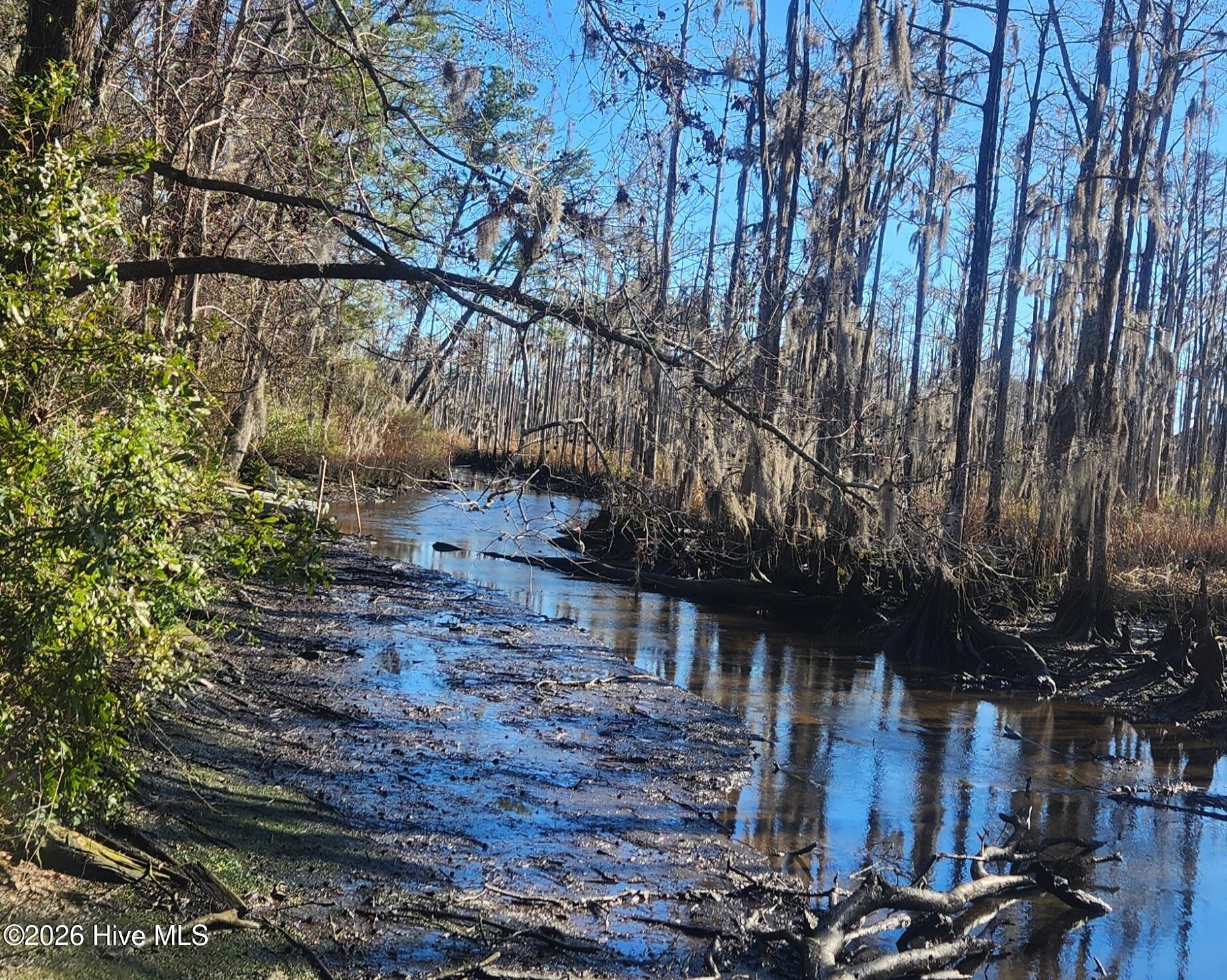 100550310 | Photo 19