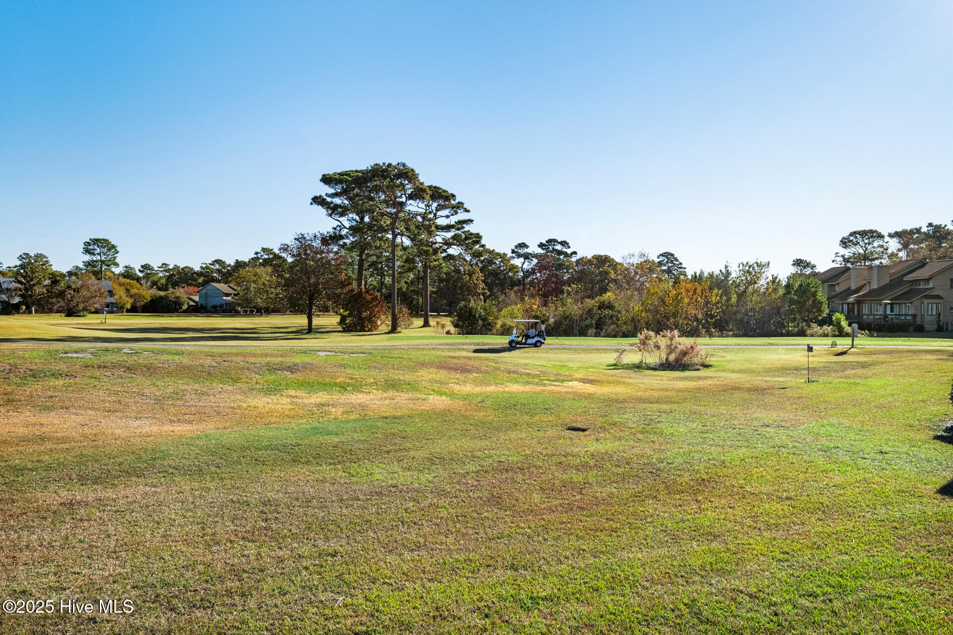 100526390 | Photo 47