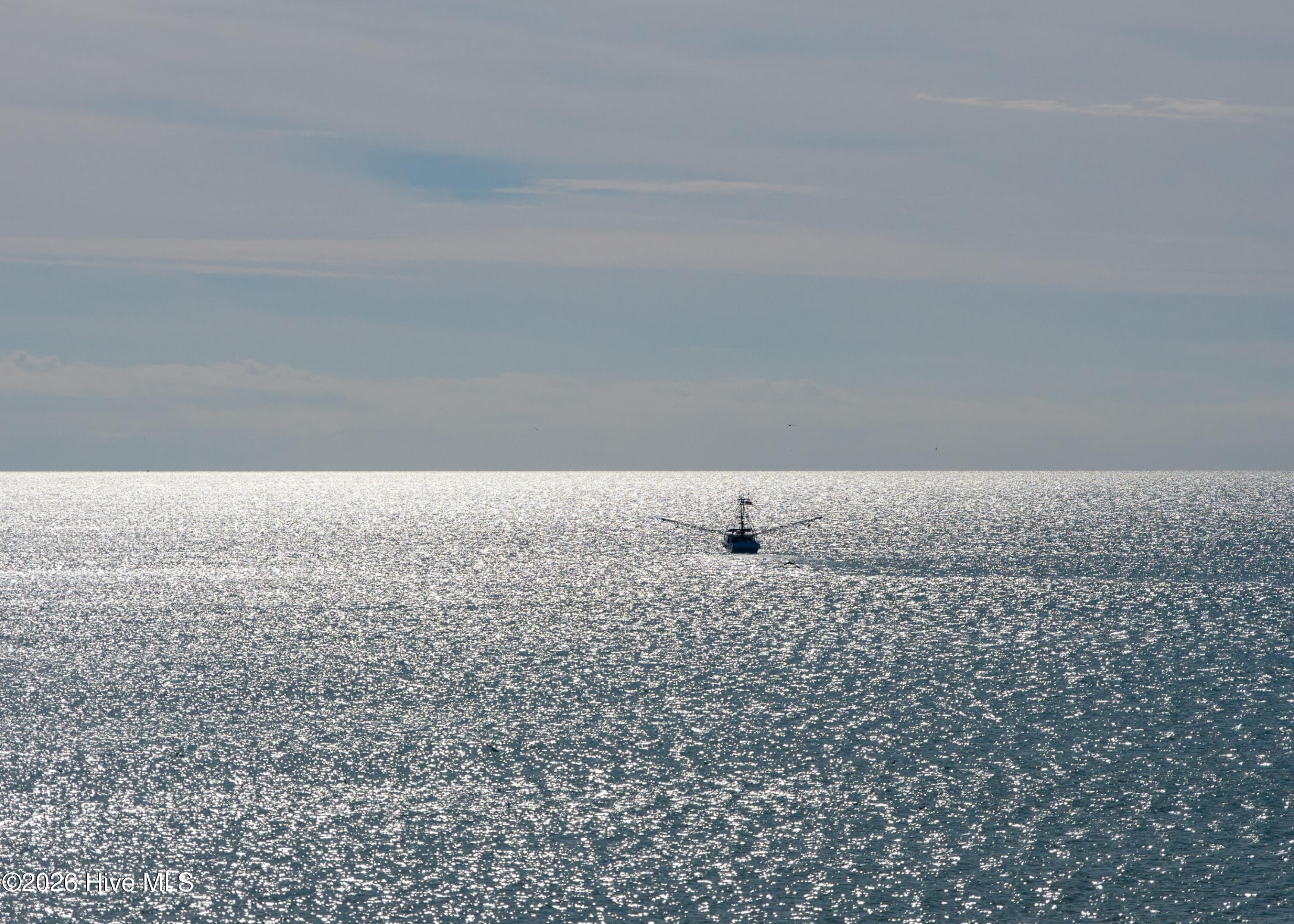 100550882 | Photo 74