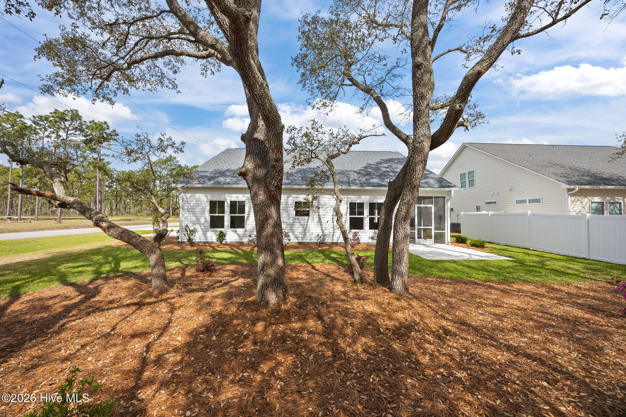 100553165 | Photo 40