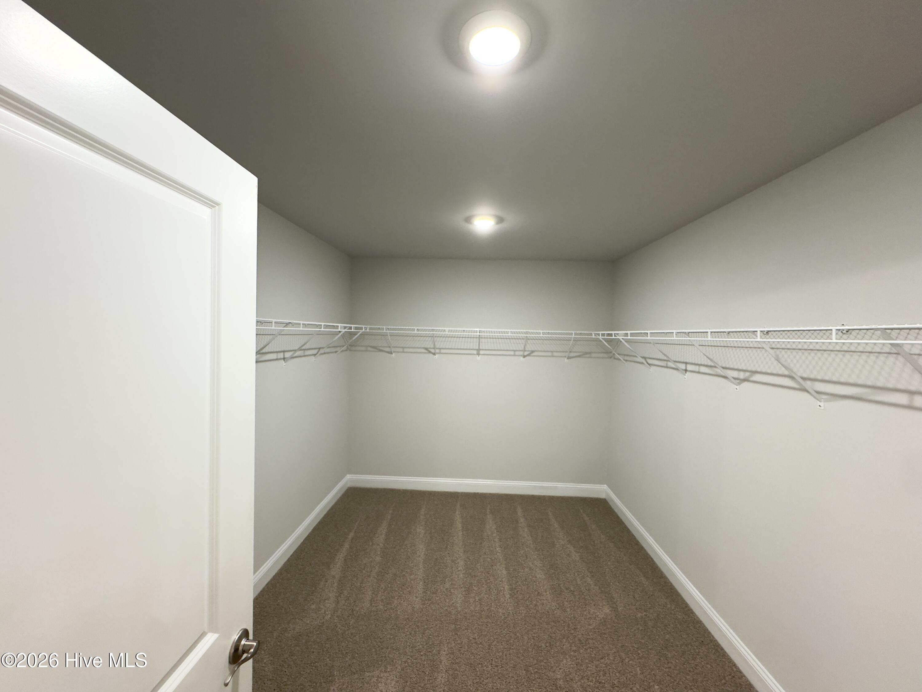 100563324 | Photo 24