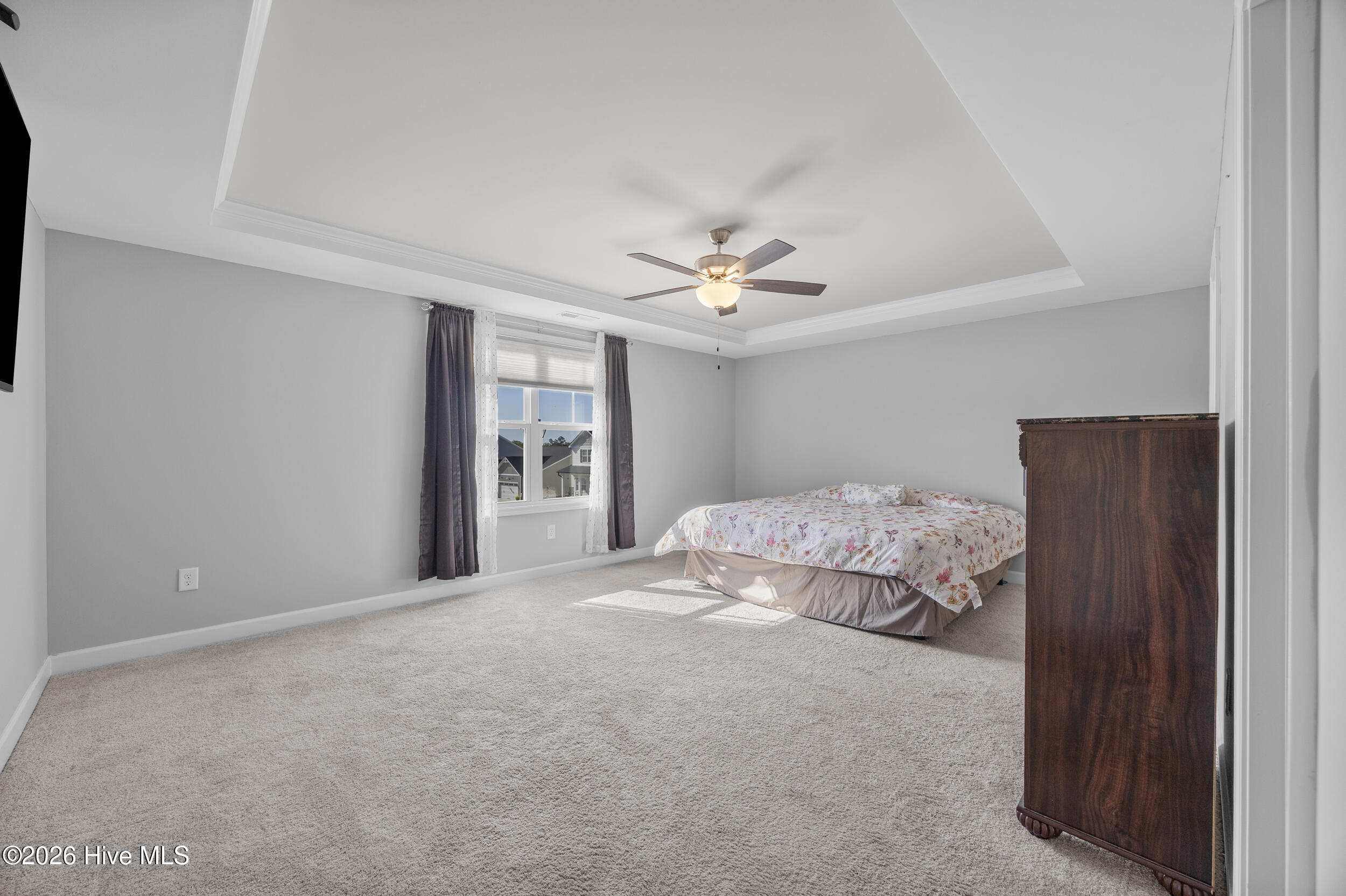 100569067 | Photo 15