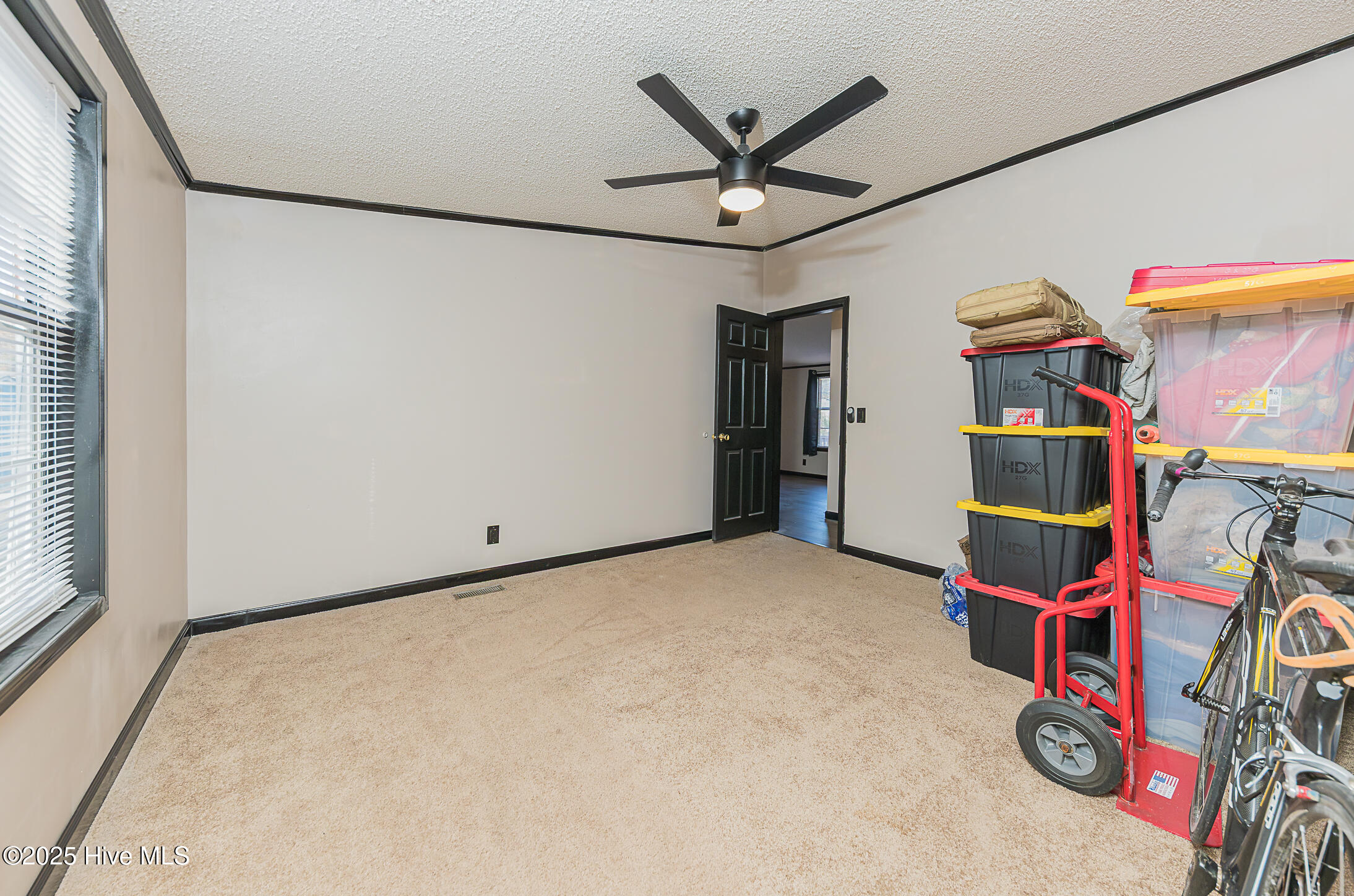 100546784 | Photo 37