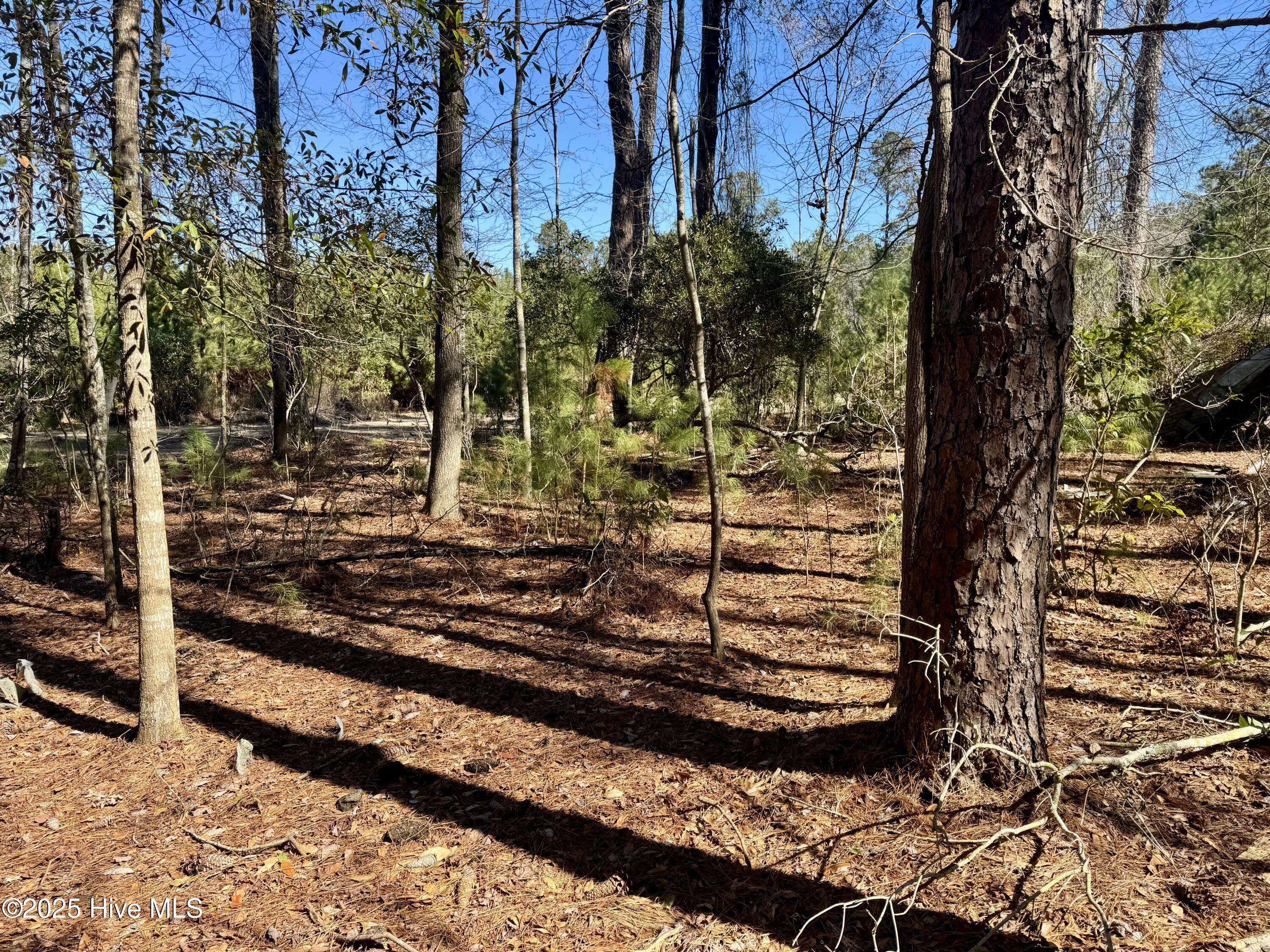 100490813 | Photo 28