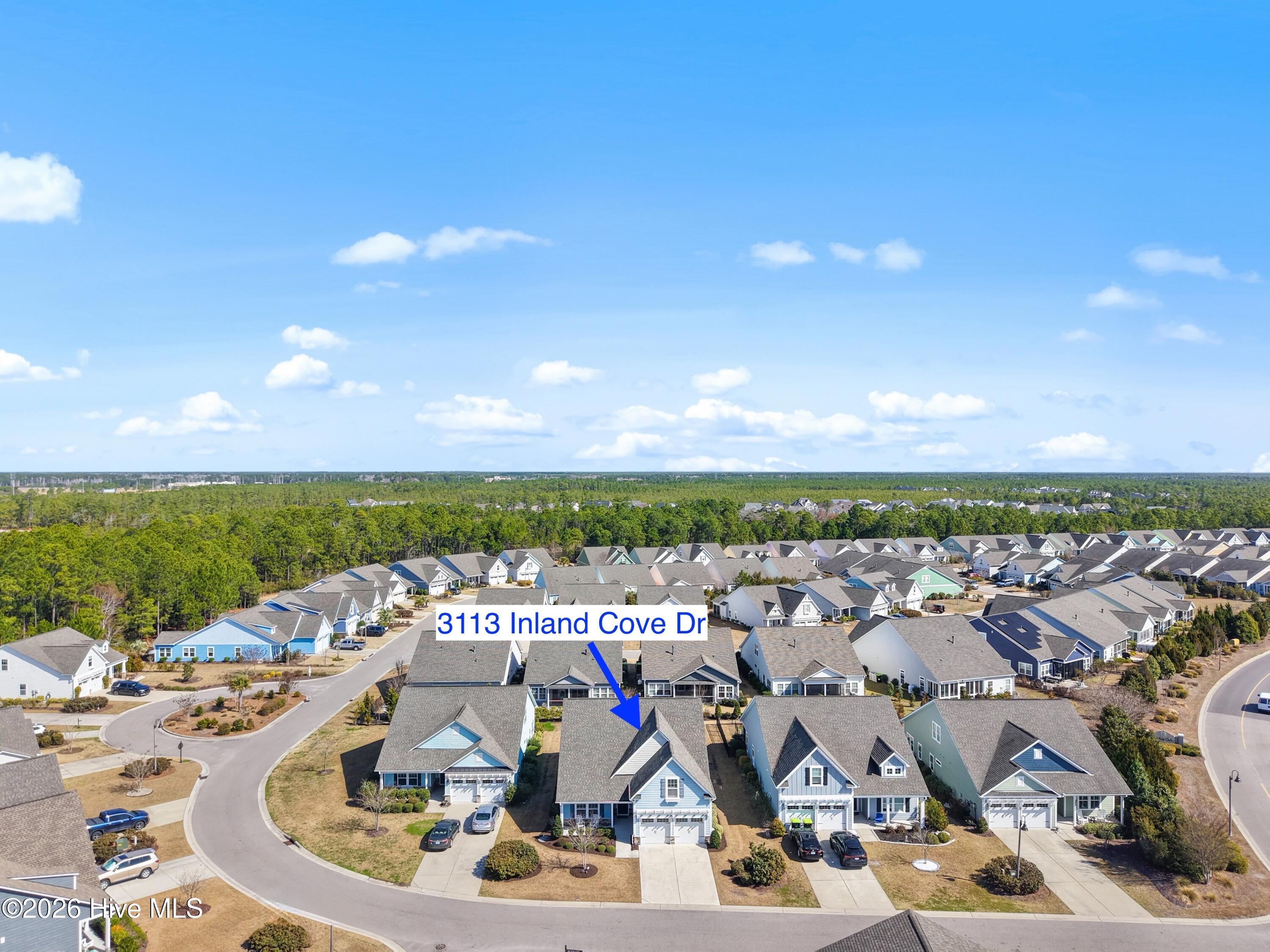 100559235 | Photo 43