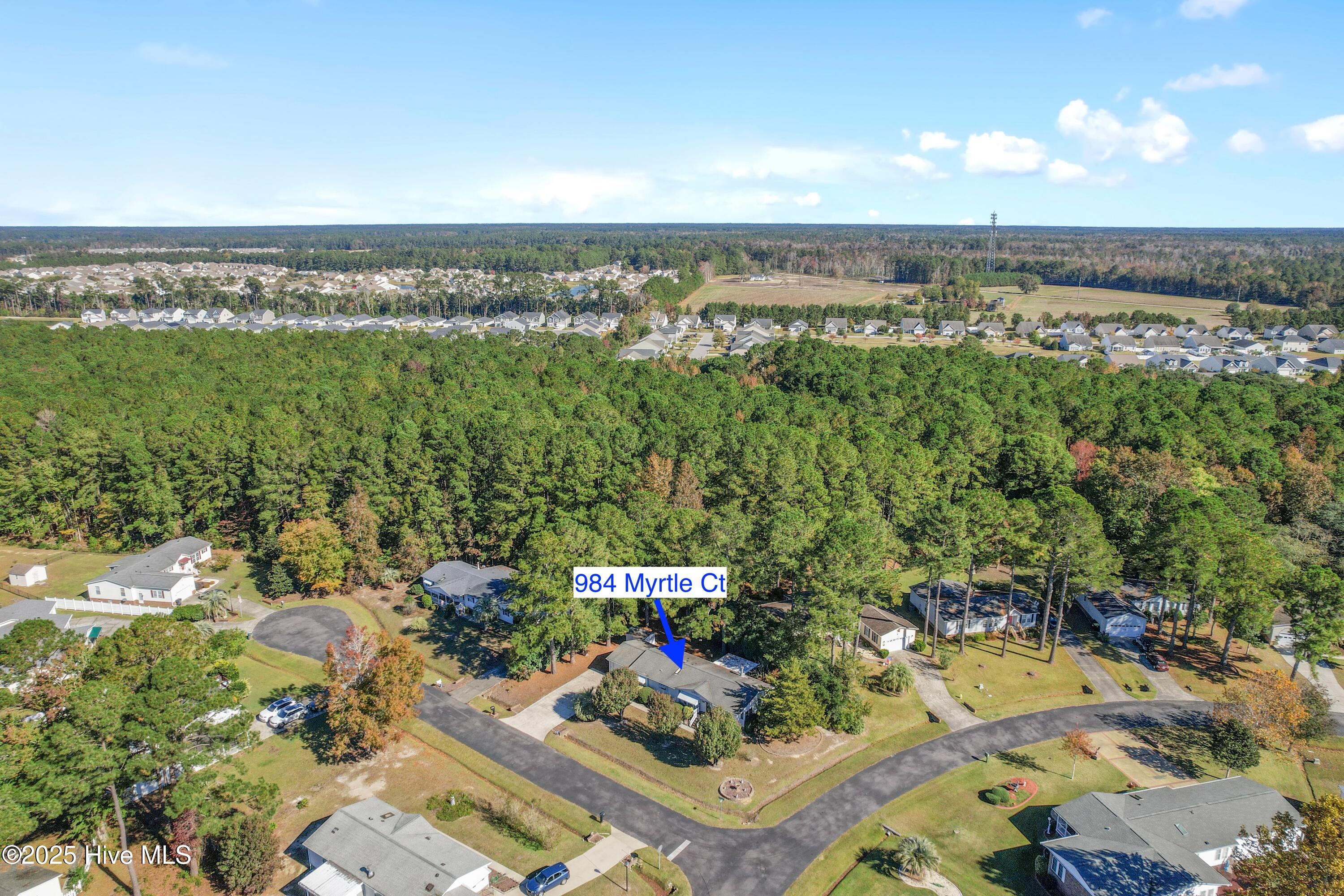 100539730 | Photo 31