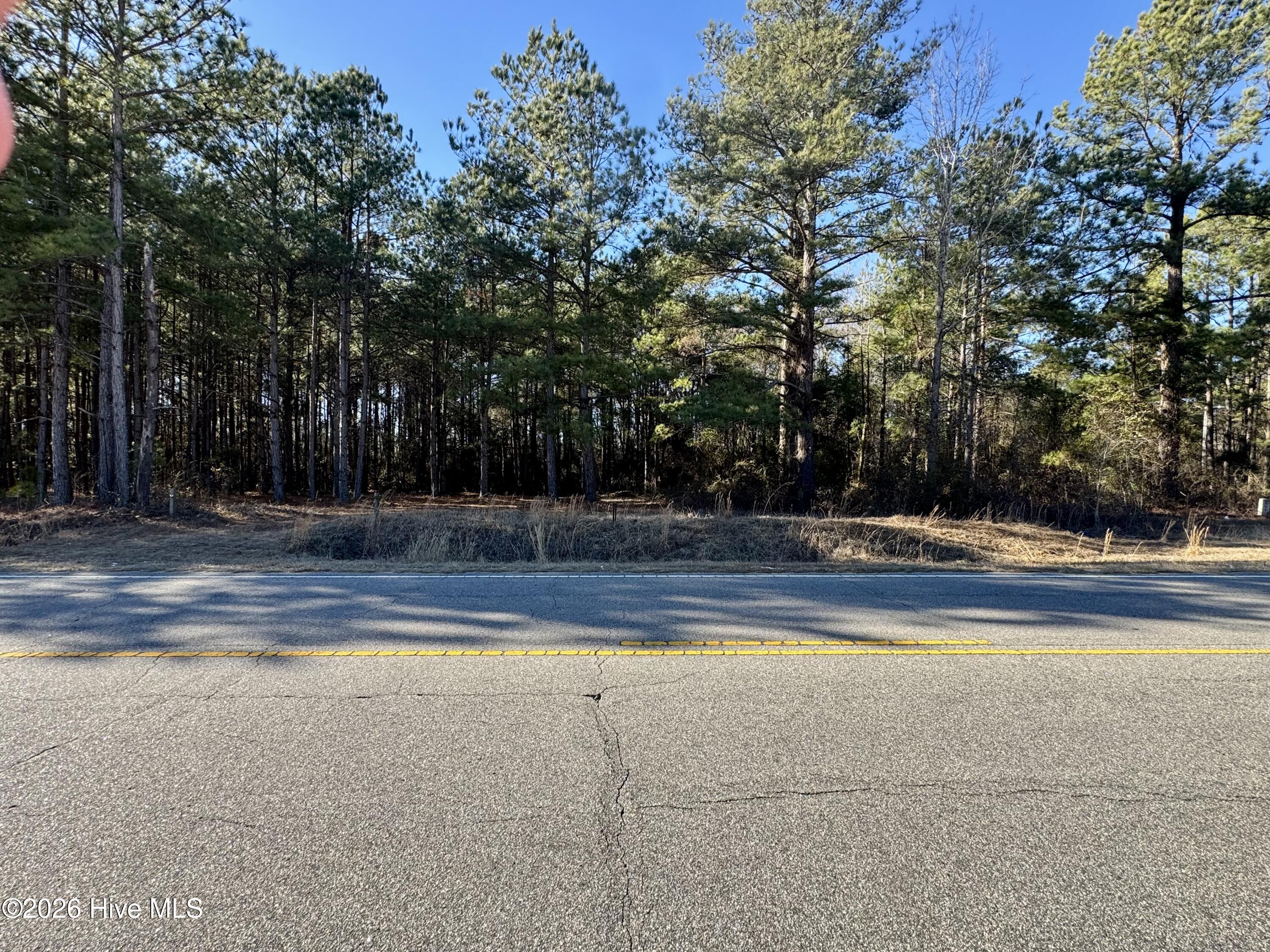 Homes for sale in Maxton, NC | Tbd Nc 83 Hwy, Maxton, NC 28364 | MLS# 100549630