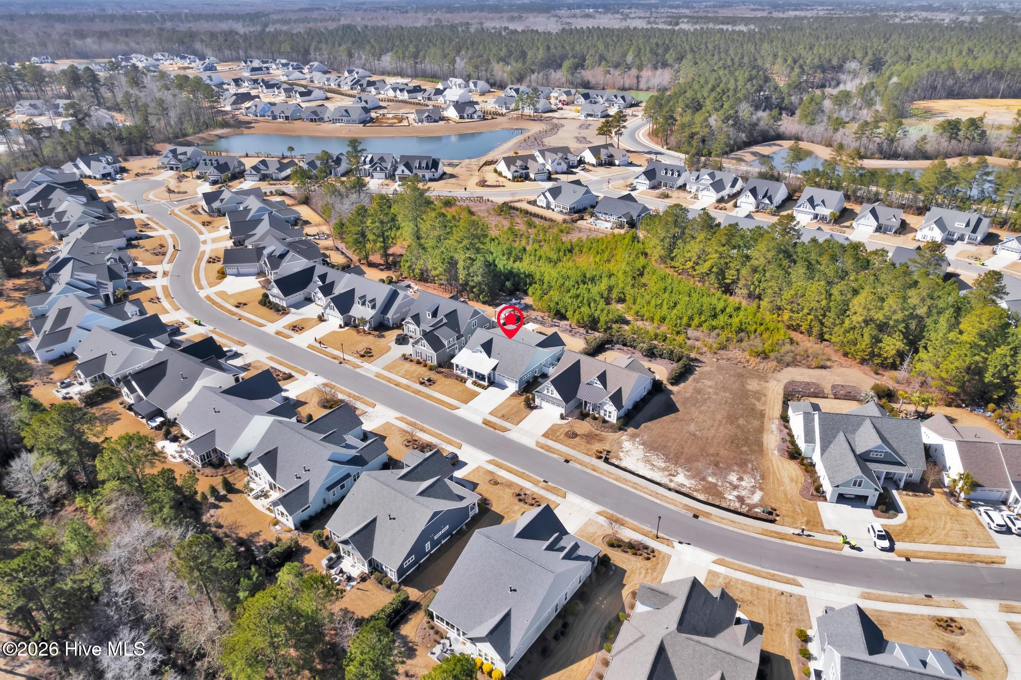 100554961 | Photo 50