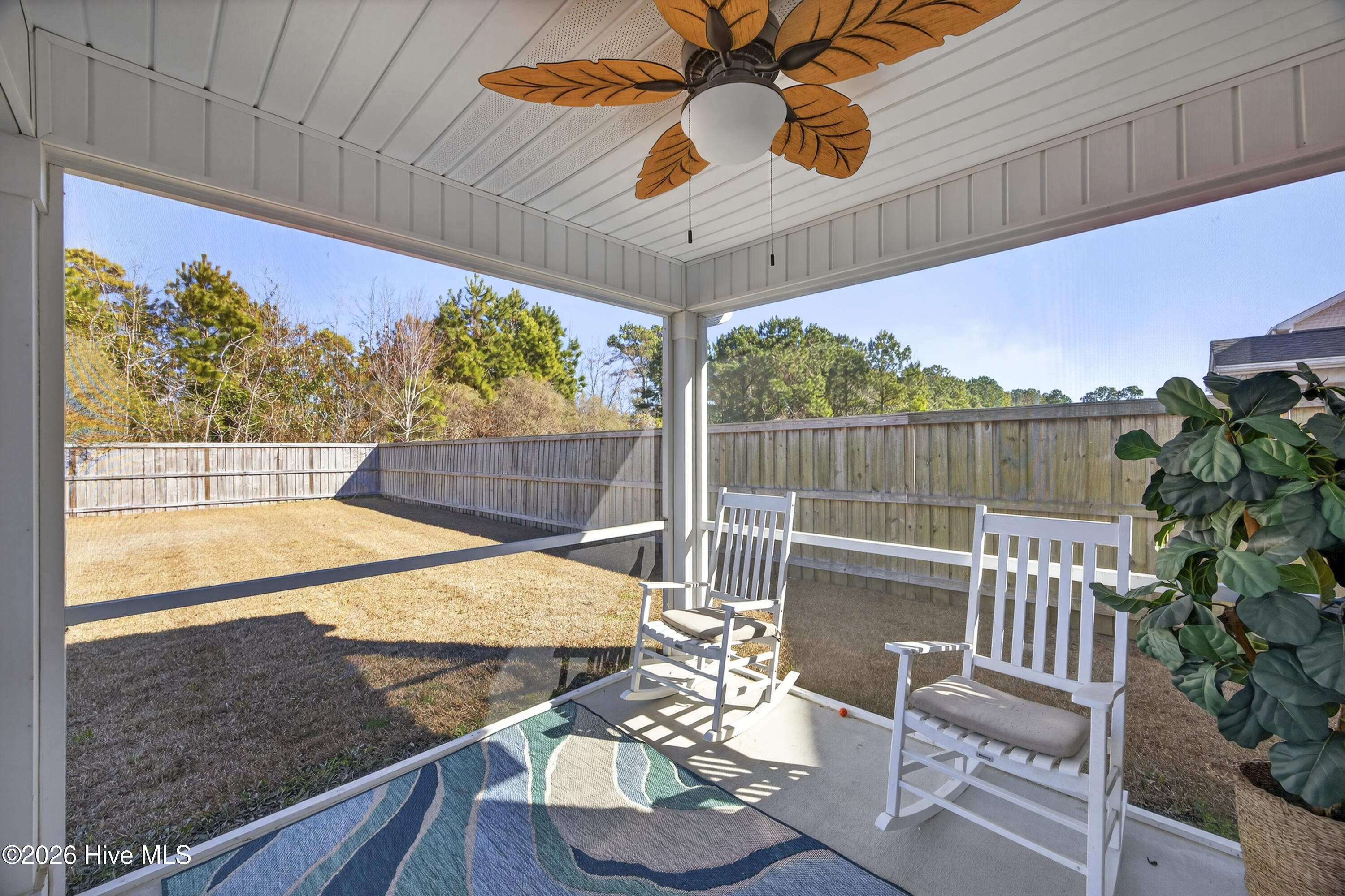 100553083 | Photo 30