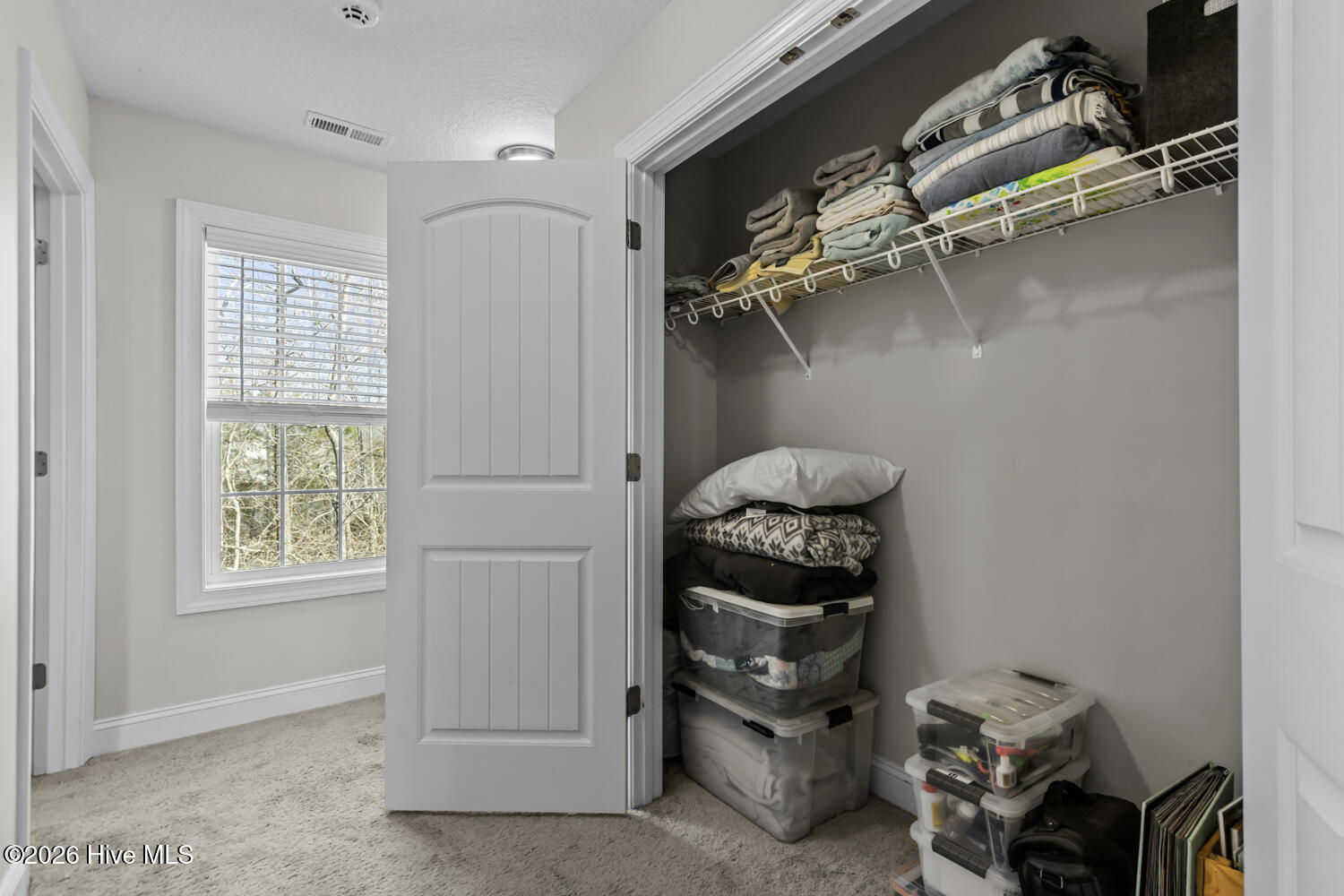 100552238 | Photo 28