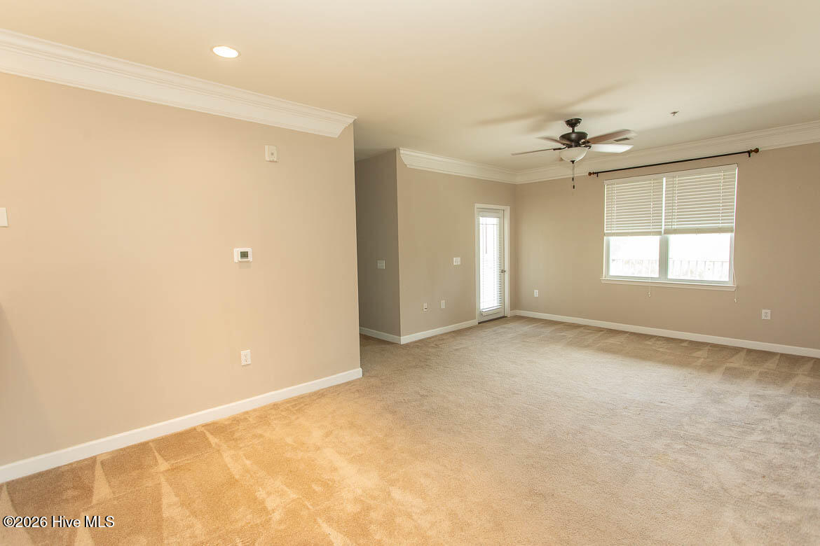 100564838 | Photo 11