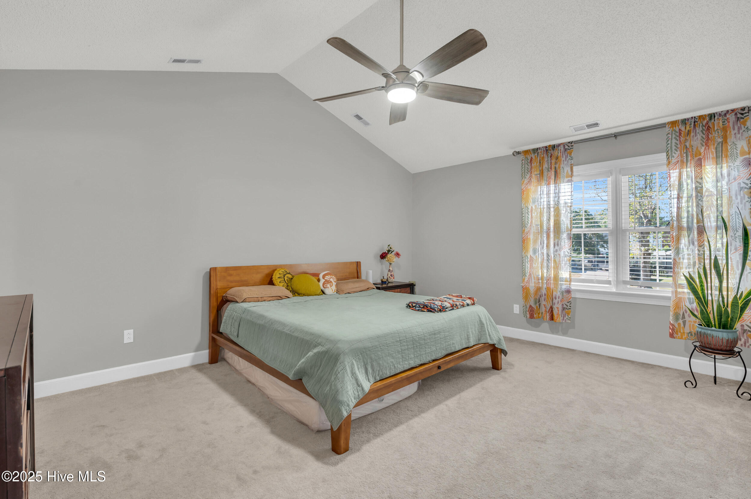 100537583 | Photo 22