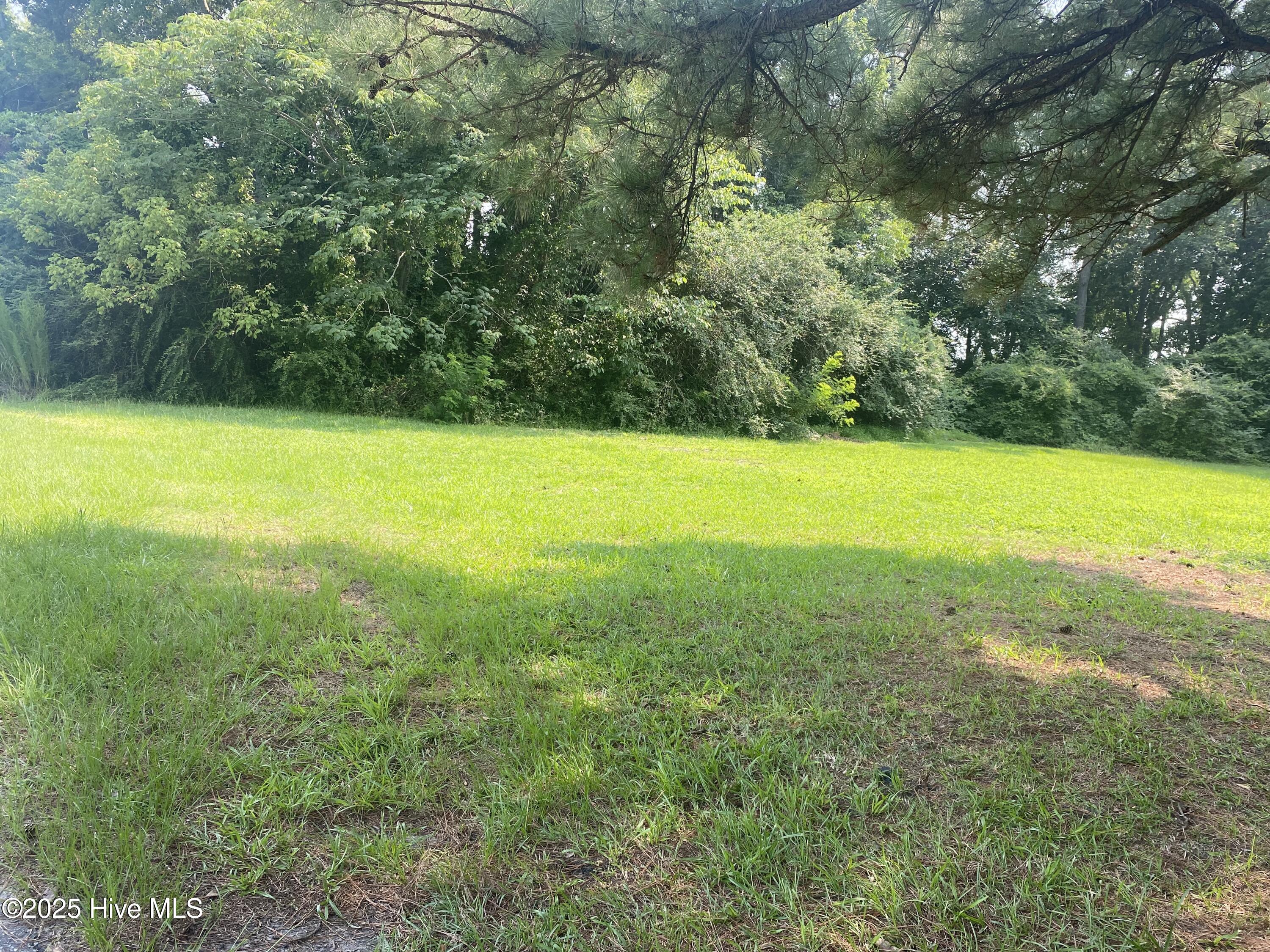 Homes for sale in Robersonville, NC | 413 Pecan St, Robersonville, NC 27871 | MLS# 100544118