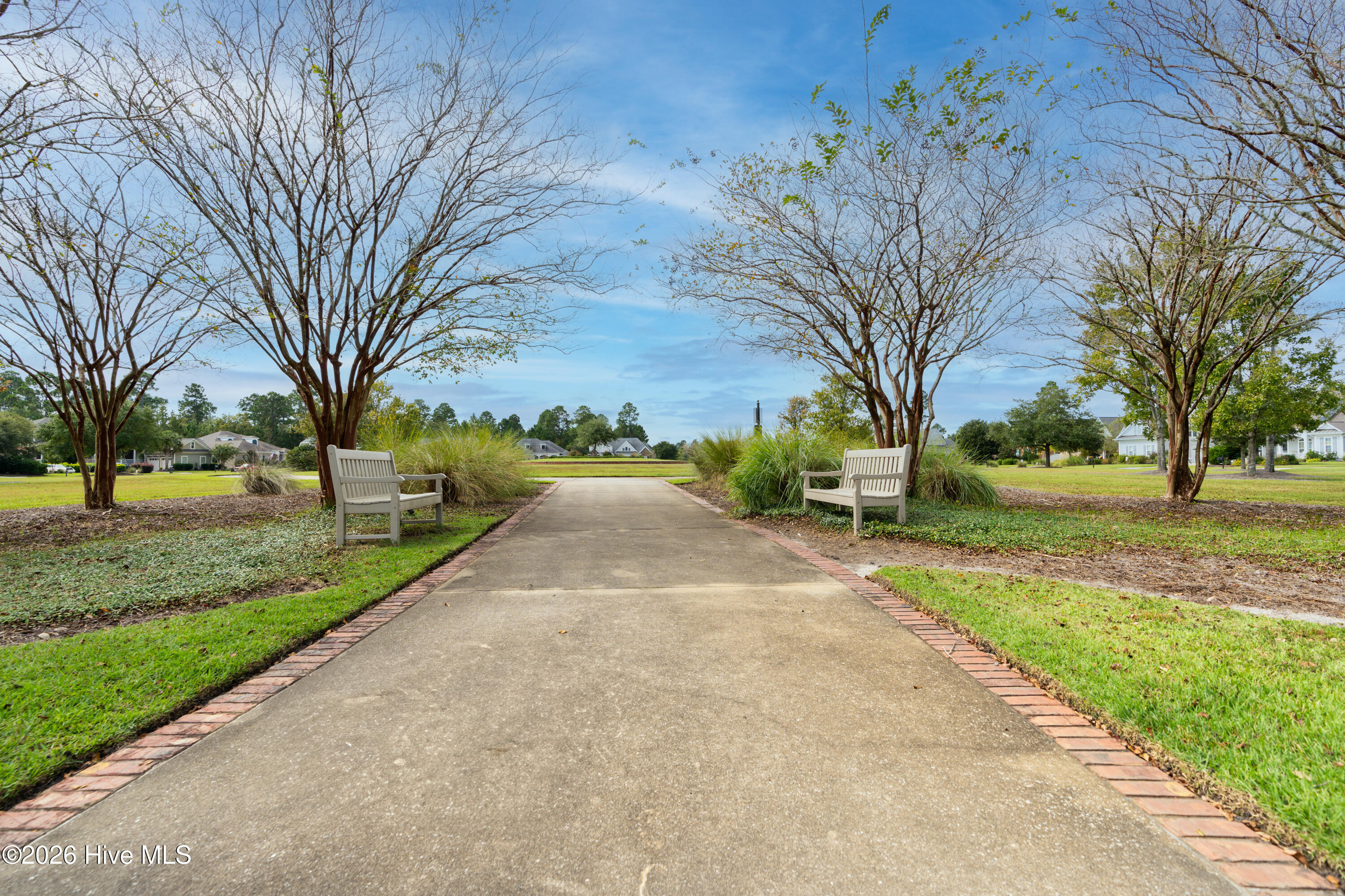 100567650 | Photo 64