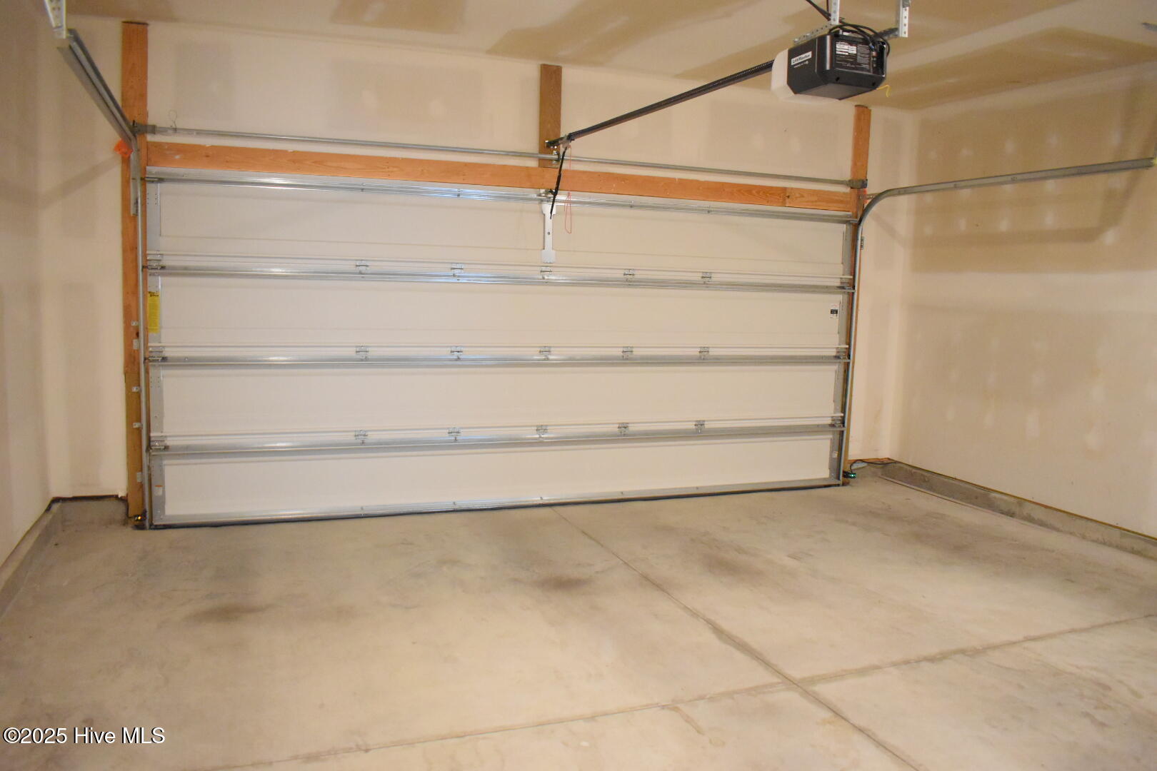 100535497 | Photo 23