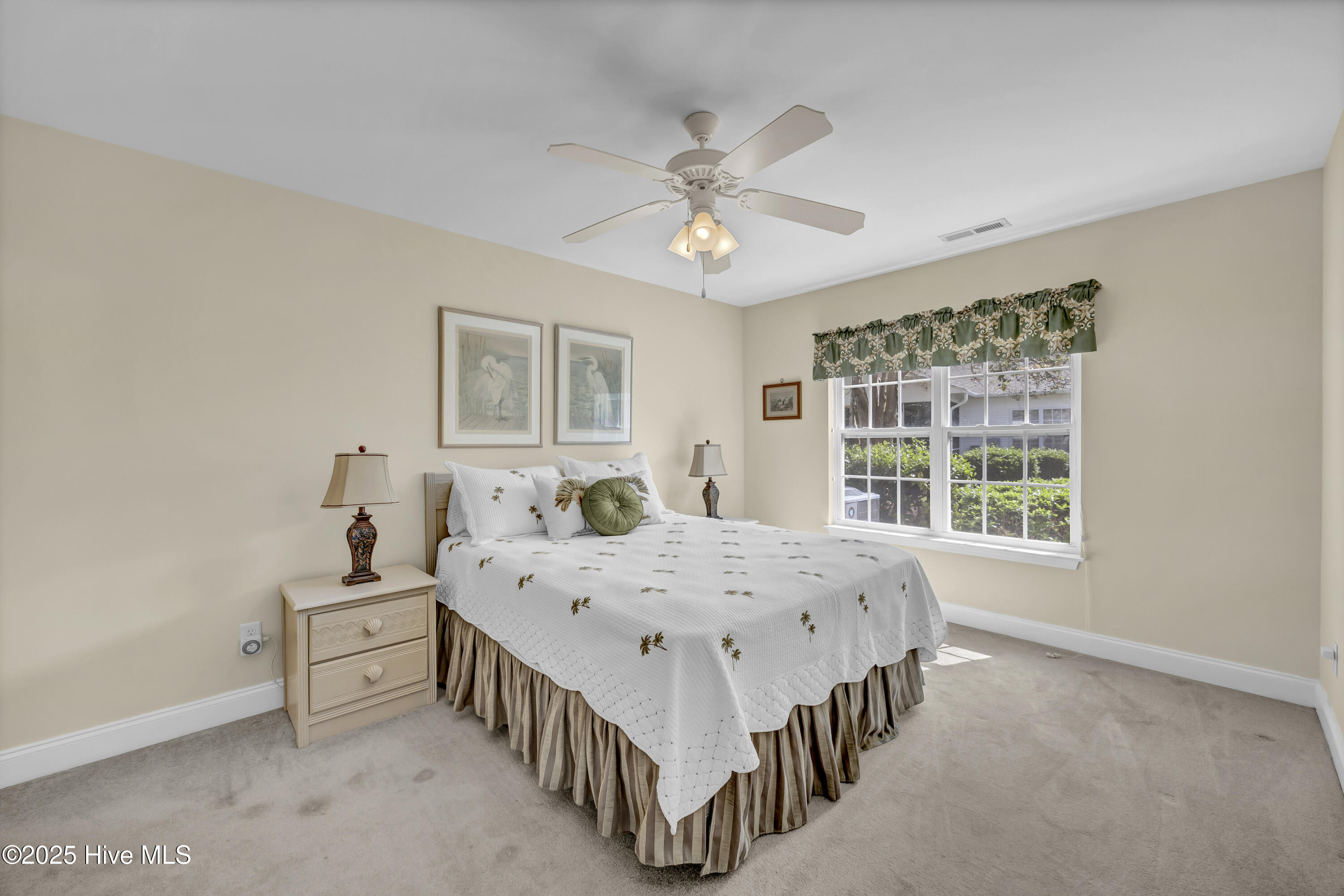 100534065 | Photo 14