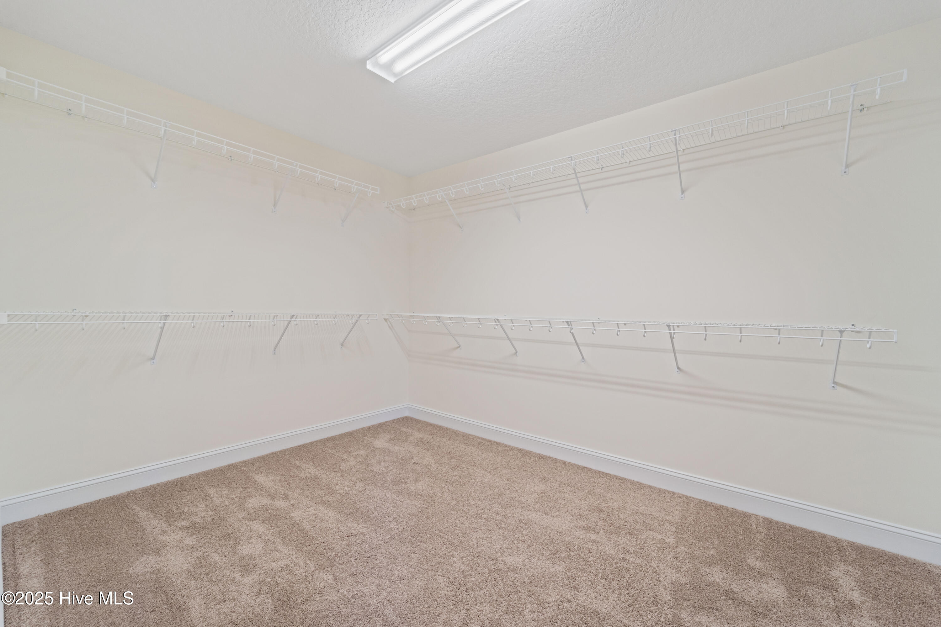 100519944 | Photo 21