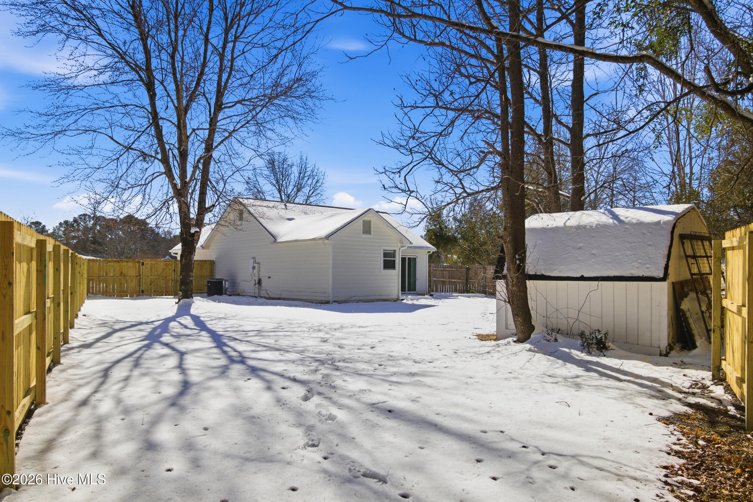 100552671 | Photo 25