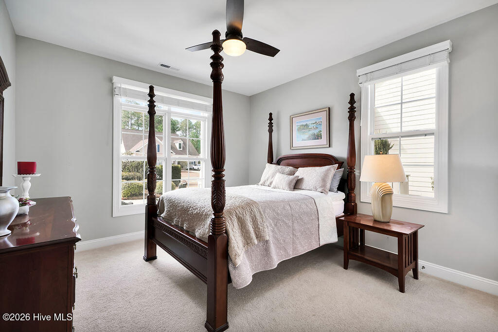 100558721 | Photo 31